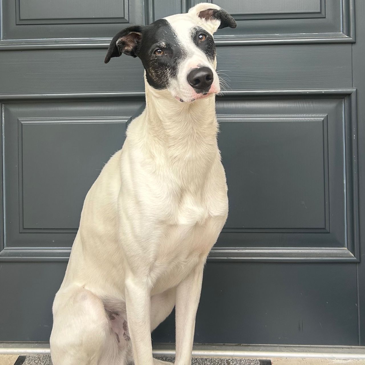 Soutěžní fotografie - Béďa,  Ostatní