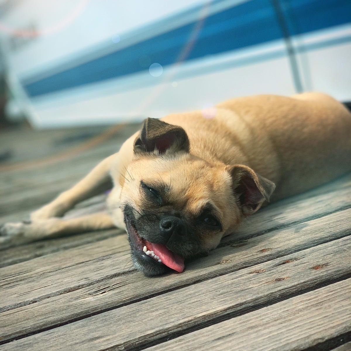 Soutěžní fotografie - Jessie,  Ostatní