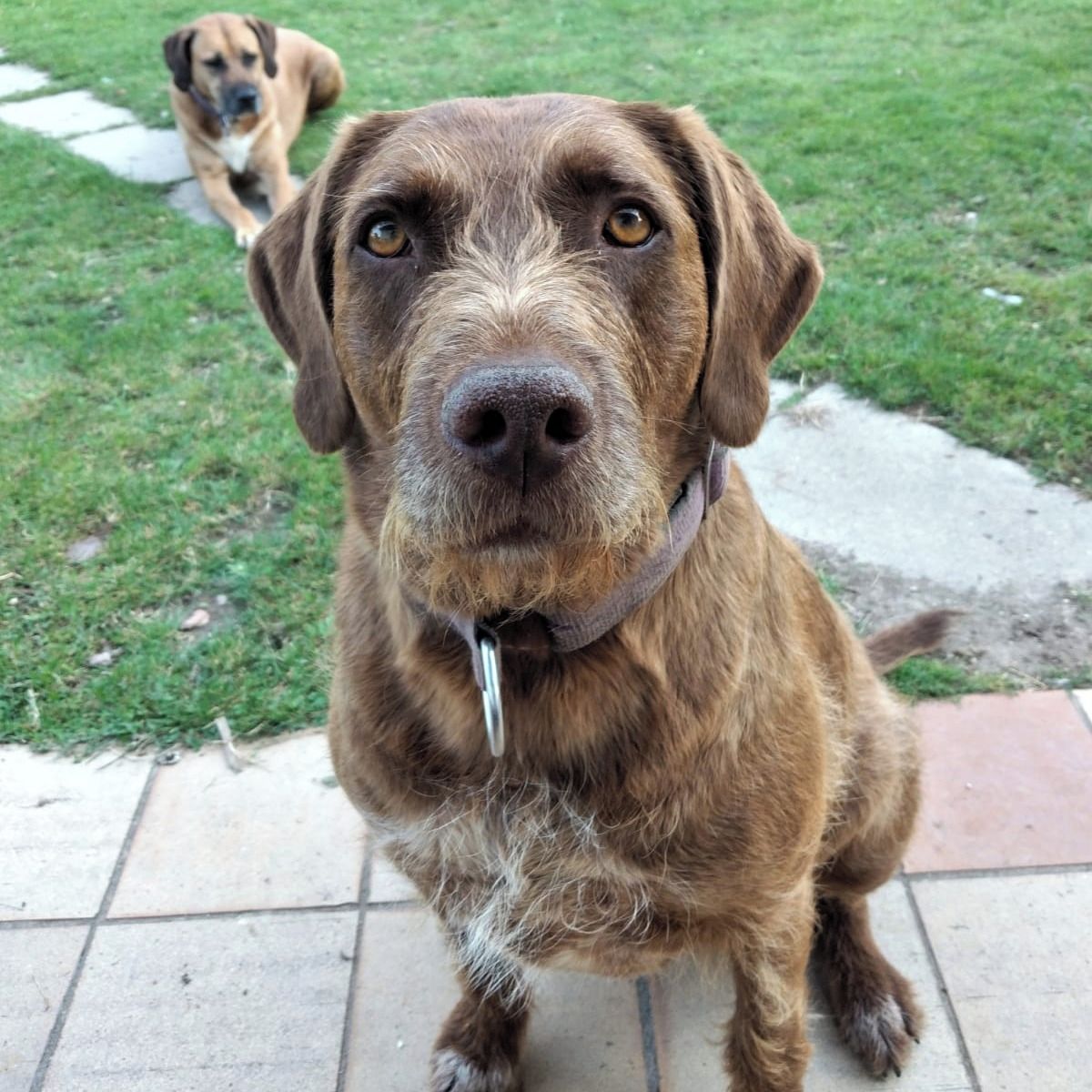 Soutěžní fotografie - Jackie,  Ostatní