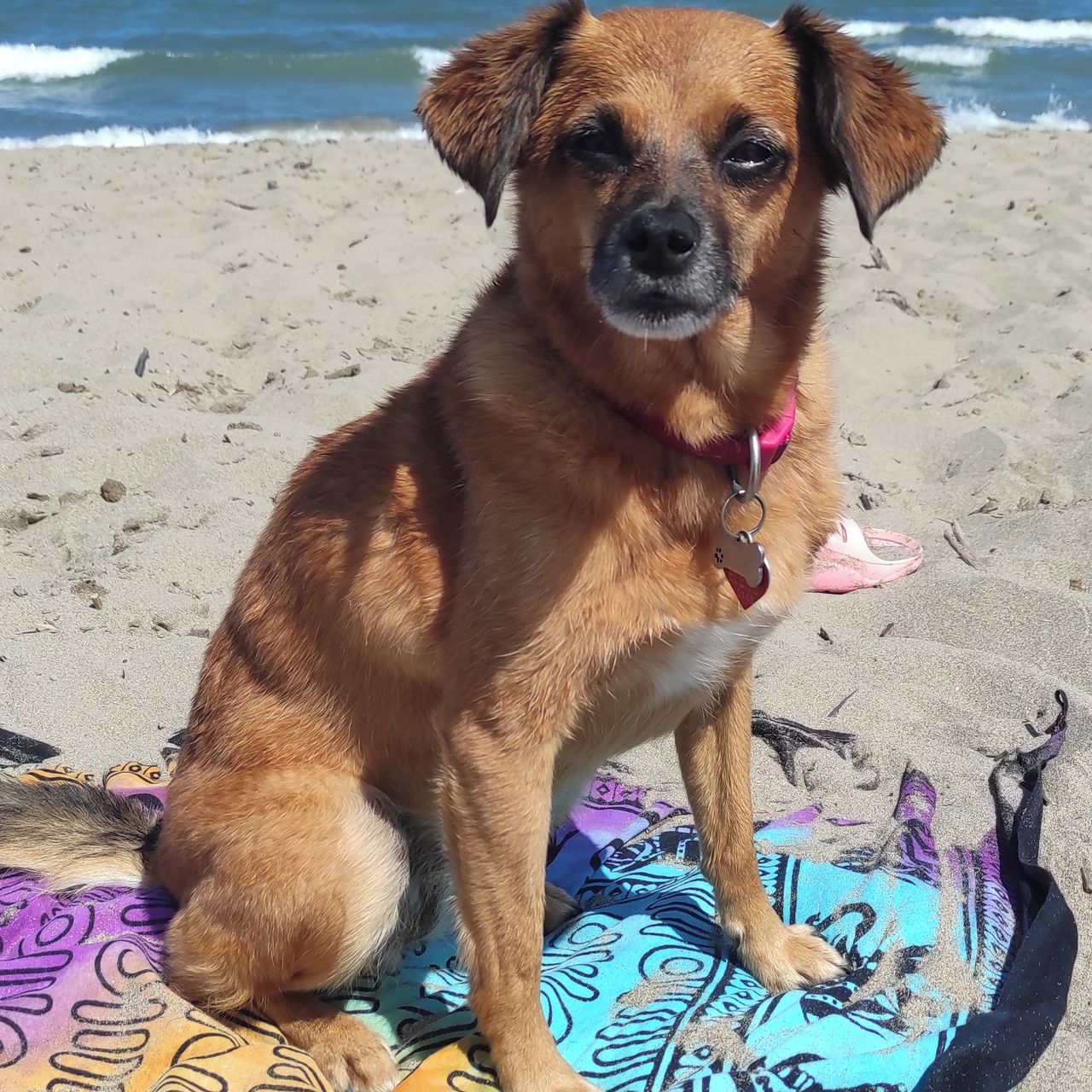 Soutěžní fotografie - Jessie,  Ostatní