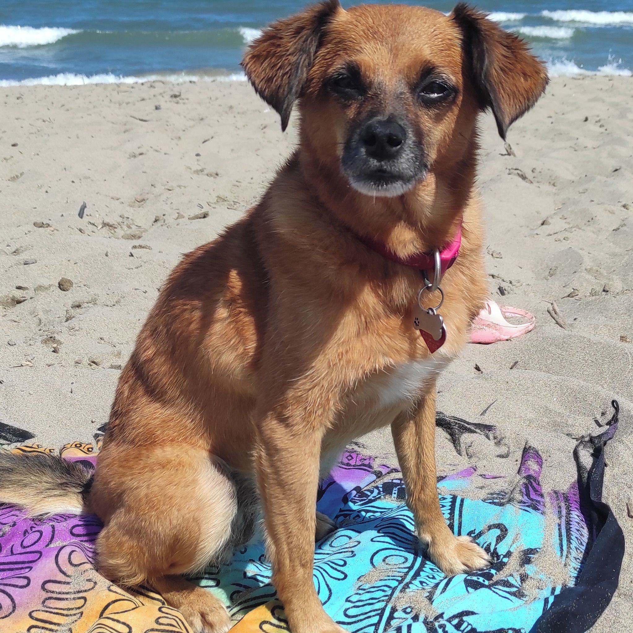 Soutěžní fotografie - Jessie,  Ostatní