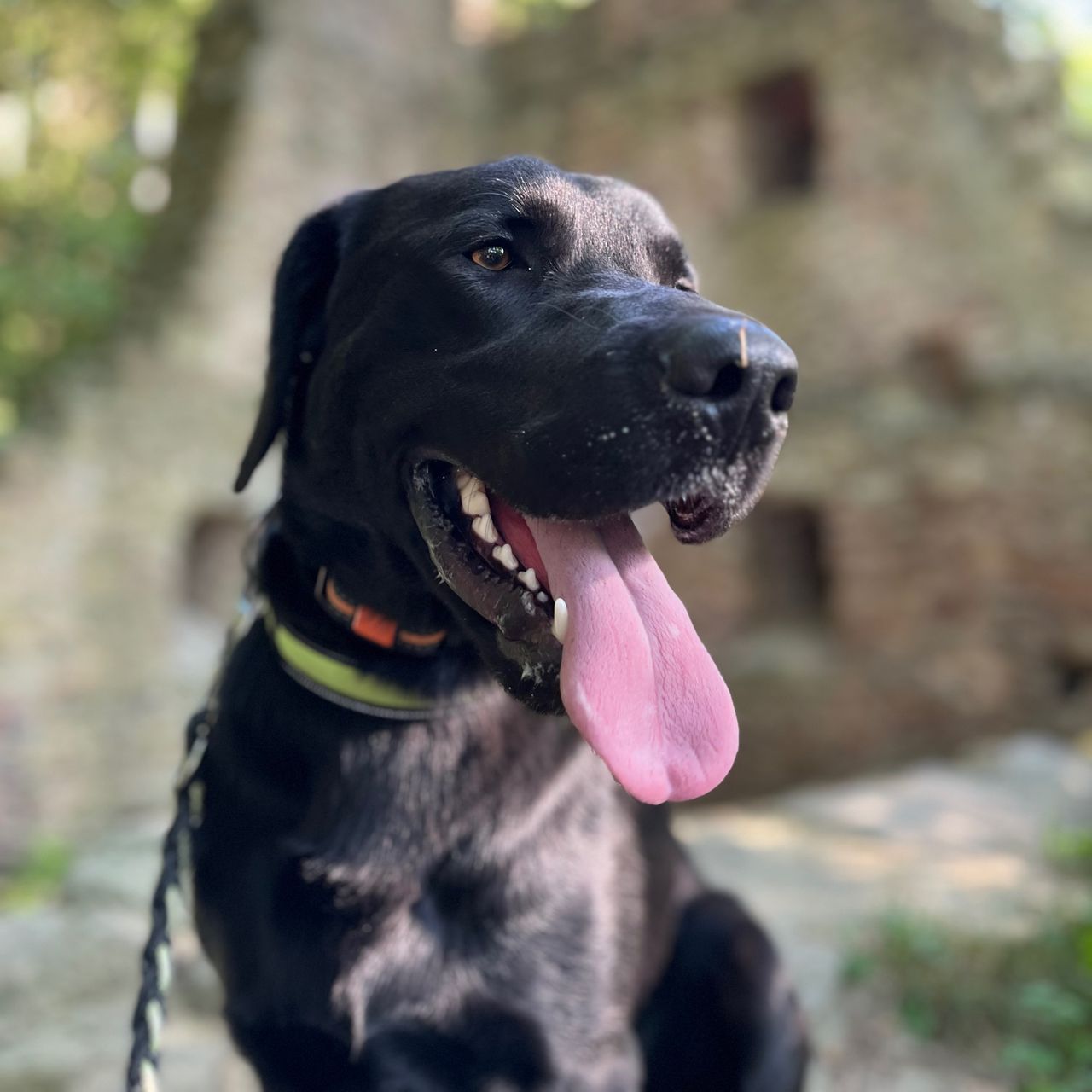 Soutěžní fotografie - Eda,  Ostatní