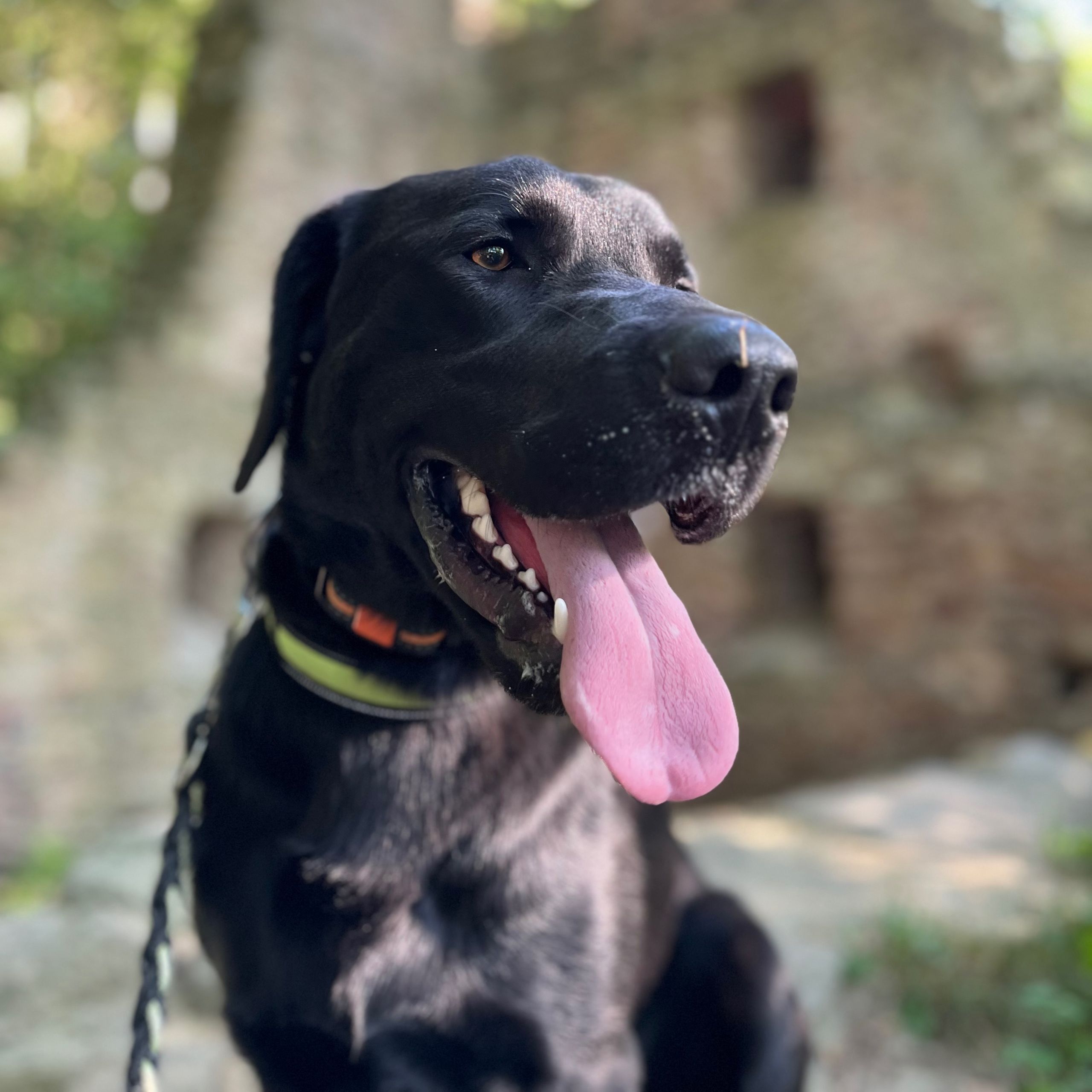 Soutěžní fotografie - Eda,  Ostatní