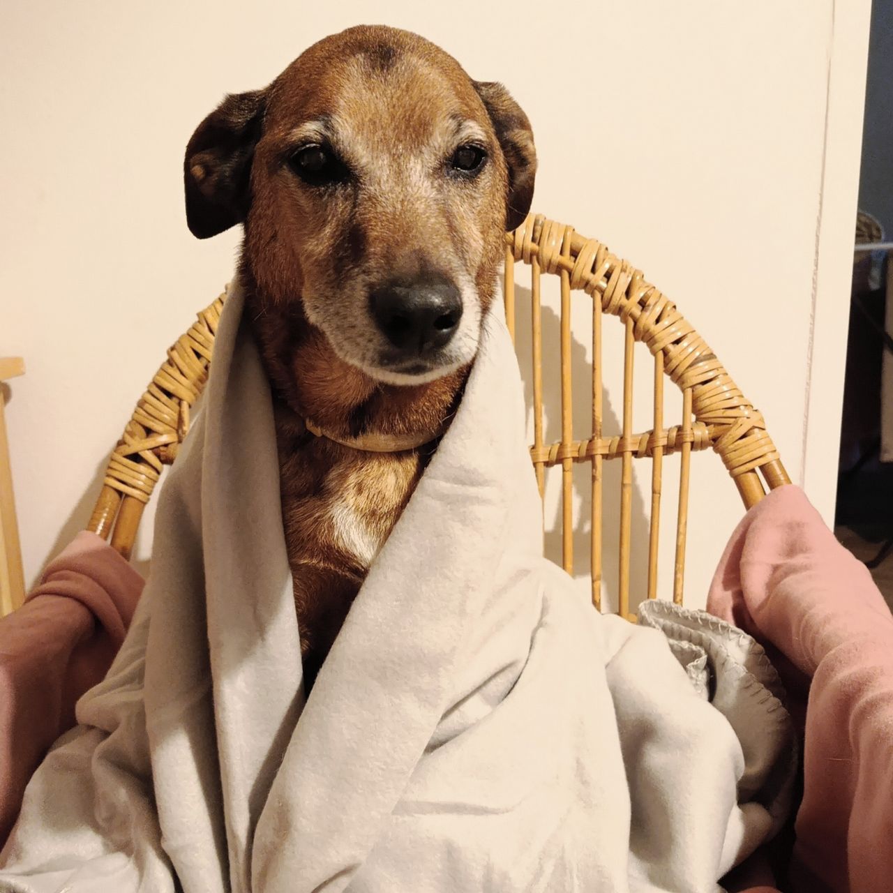 Soutěžní fotografie - Luboš,  Ostatní