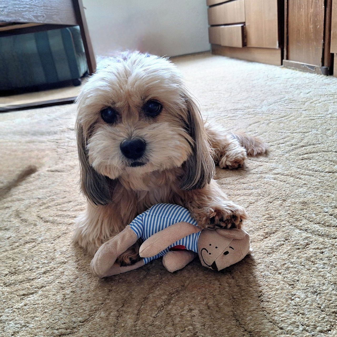 Soutěžní fotografie - Malvínka,  Ostatní