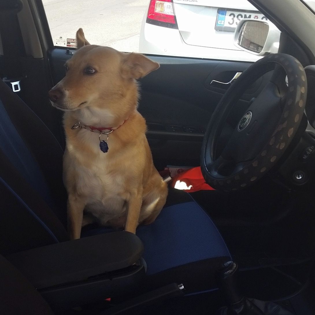 Soutěžní fotografie - Berry,  Ostatní