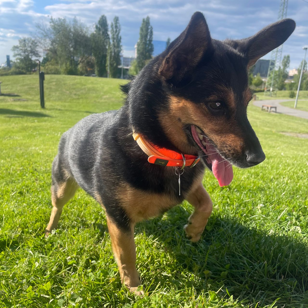 Soutěžní fotografie - Dirty,  Ostatní