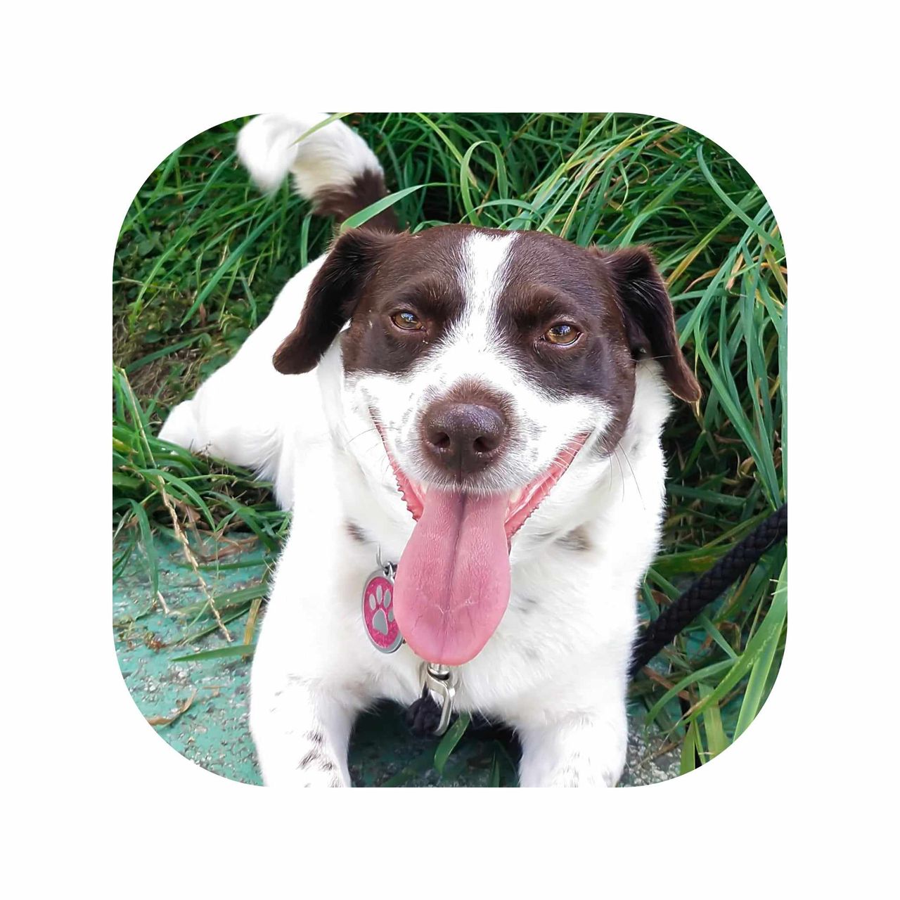 Soutěžní fotografie - Fany,  Ostatní