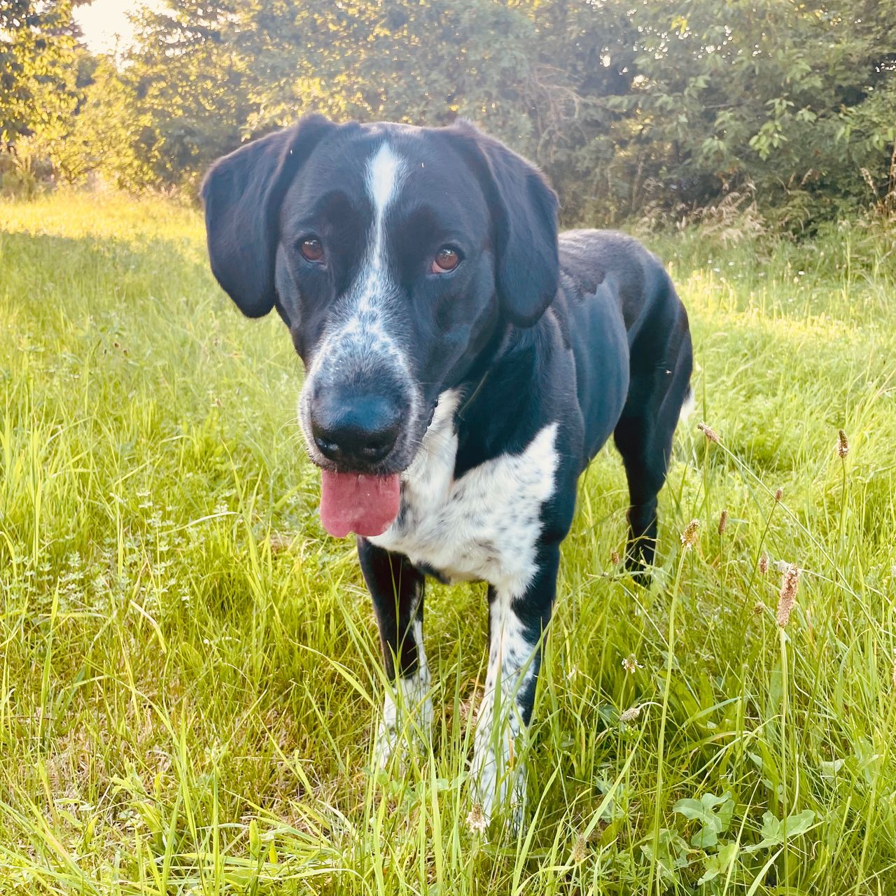 Soutěžní fotografie - Maximus Decimus Meridius,  Ostatní