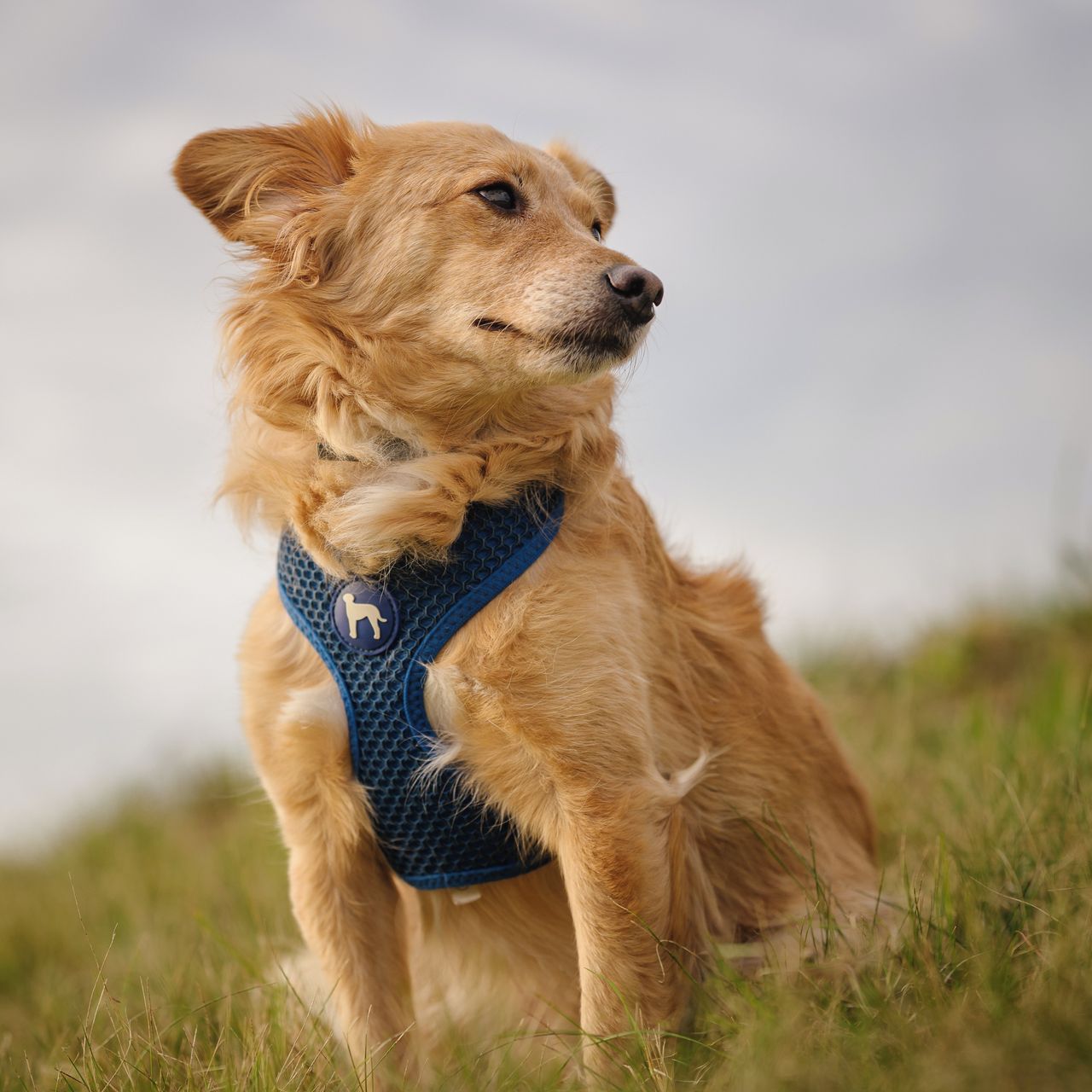 Soutěžní fotografie - Peri,  Ostatní