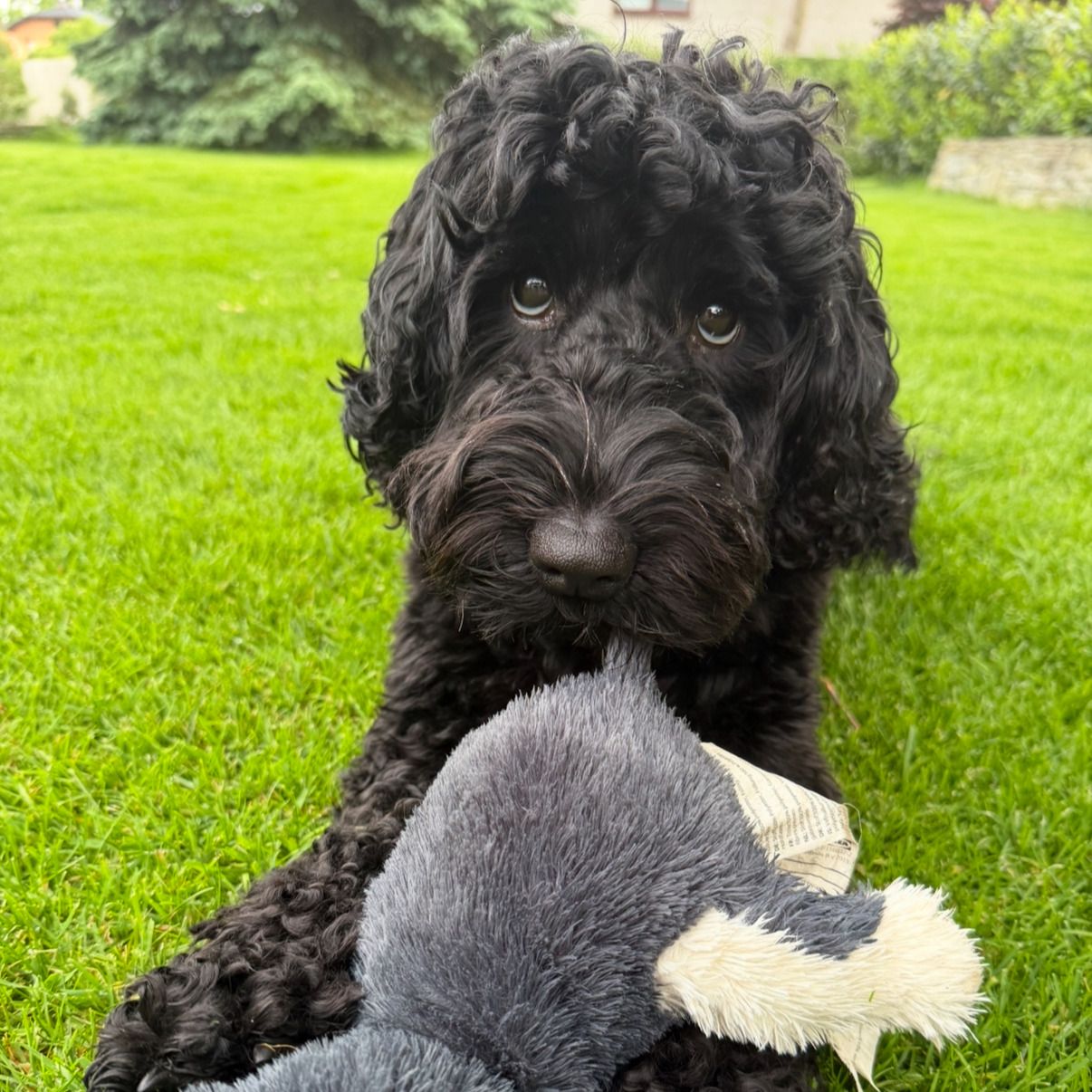 Soutěžní fotografie - Visby,  Ostatní