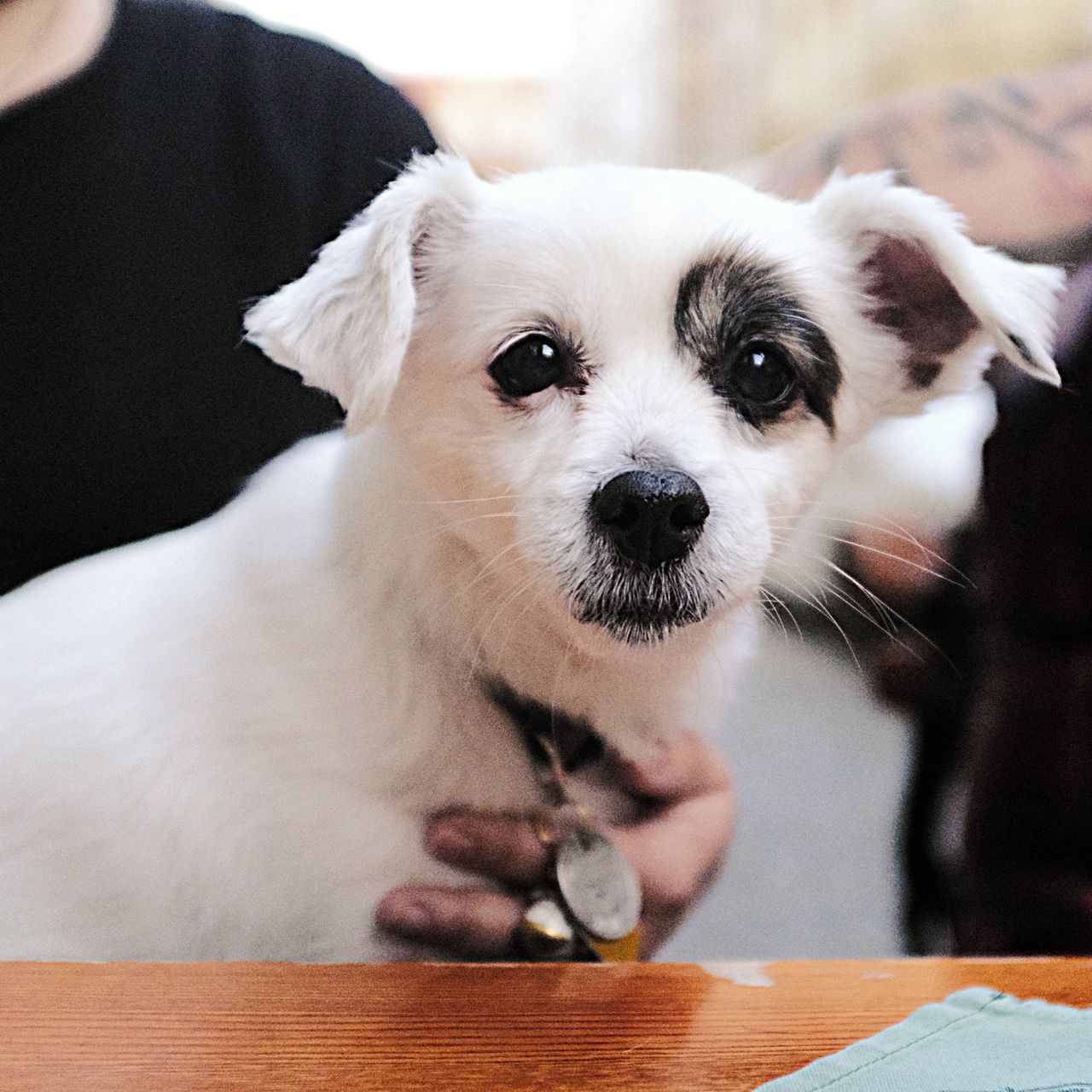 Soutěžní fotografie - Amélie,  Ostatní