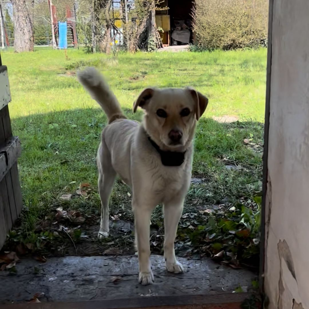 Soutěžní fotografie - Rony,  Ostatní