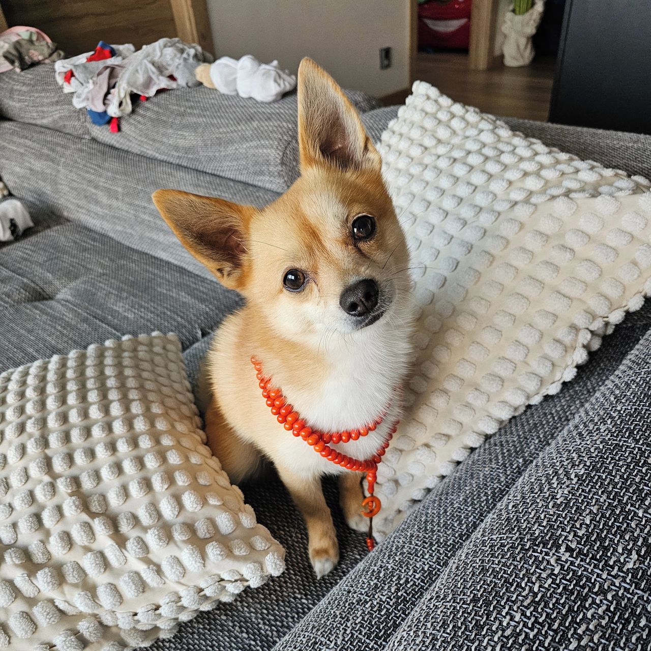 Soutěžní fotografie - Woody,  Ostatní