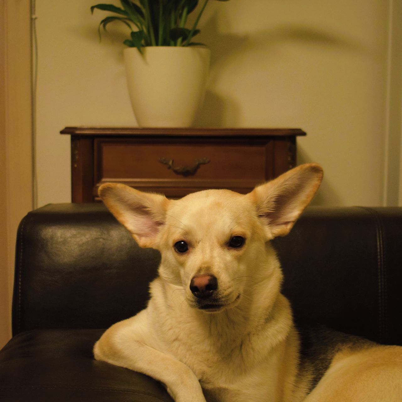 Soutěžní fotografie - Gity,  Ostatní