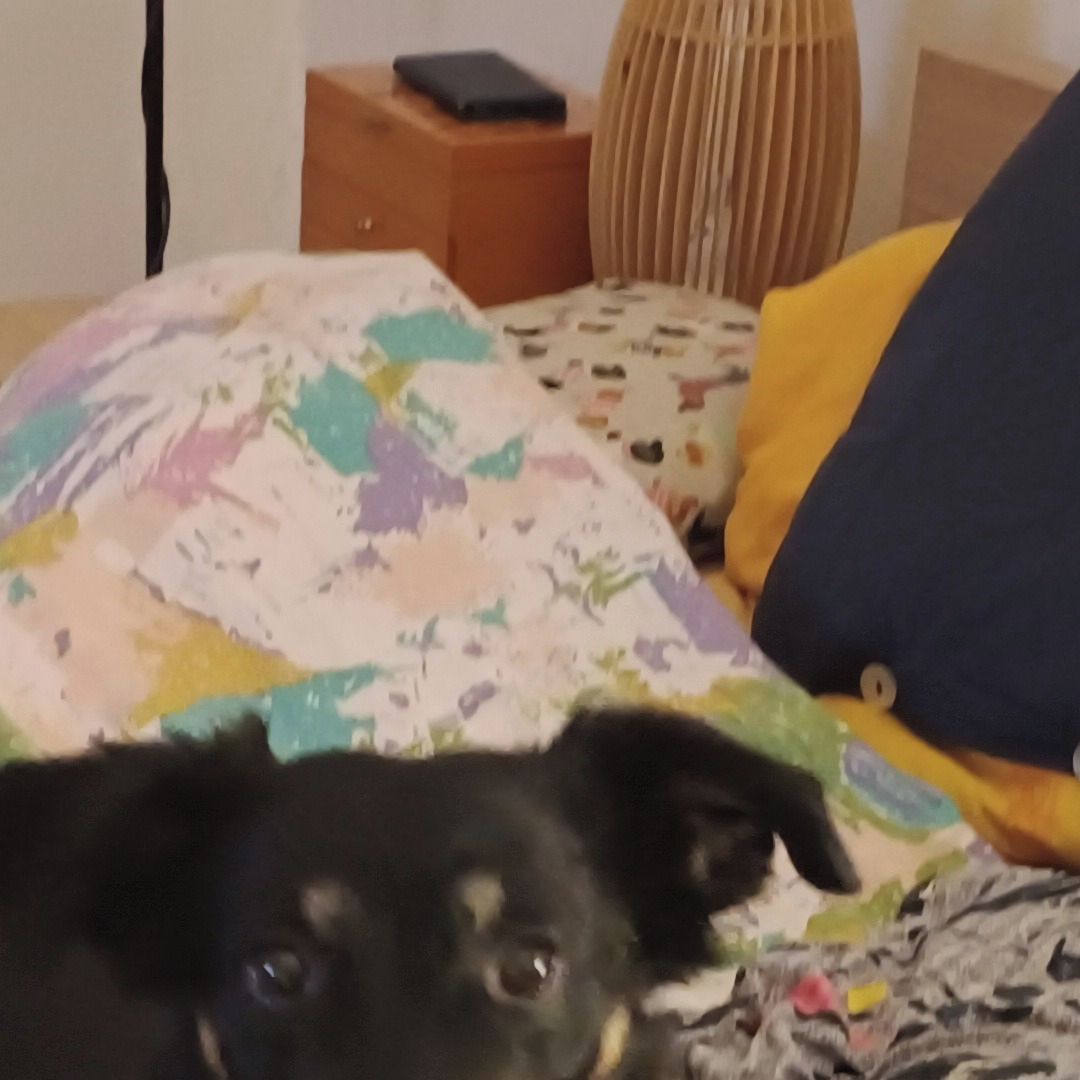 Soutěžní fotografie - Eli,  Ostatní