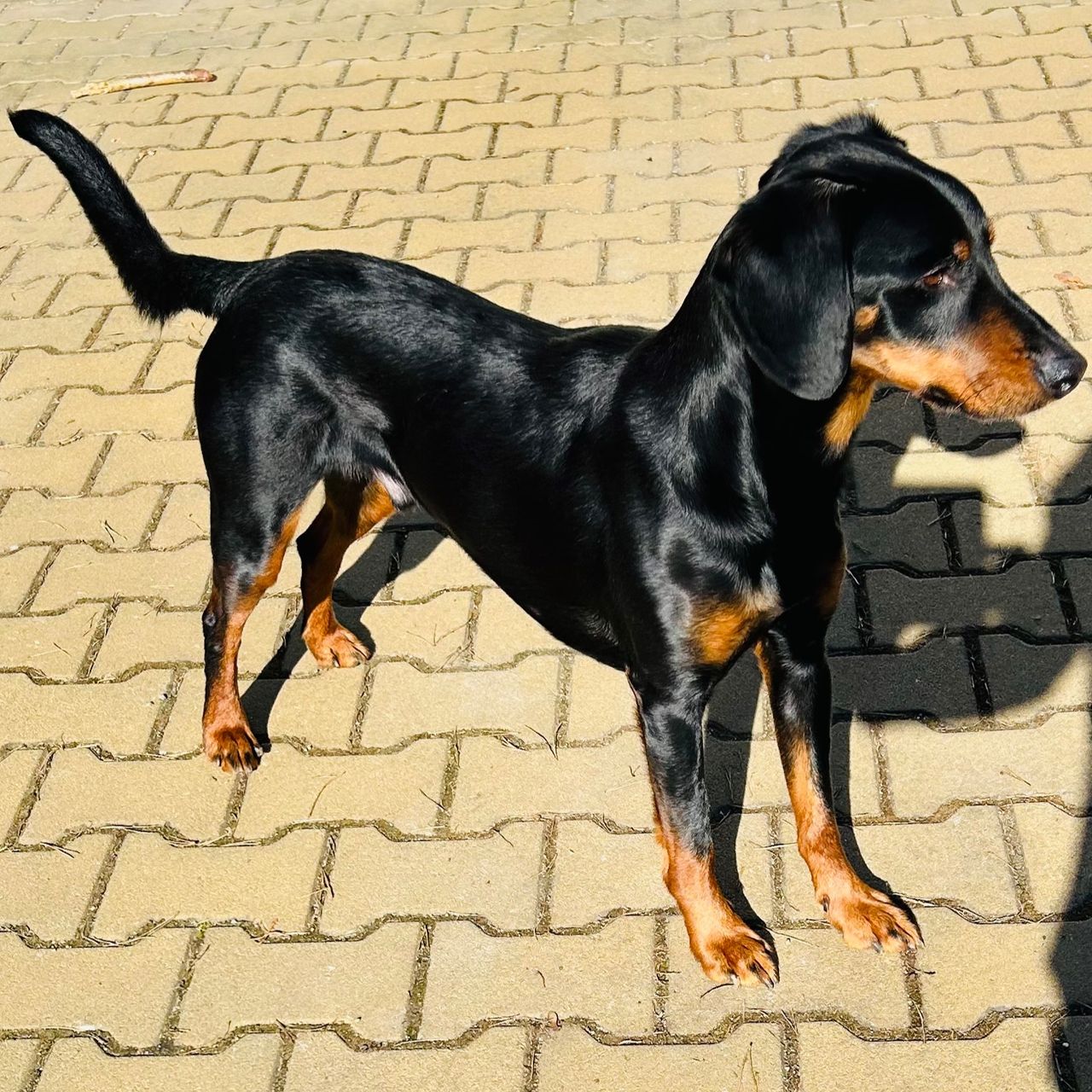 Soutěžní fotografie - Beník,  Ostatní