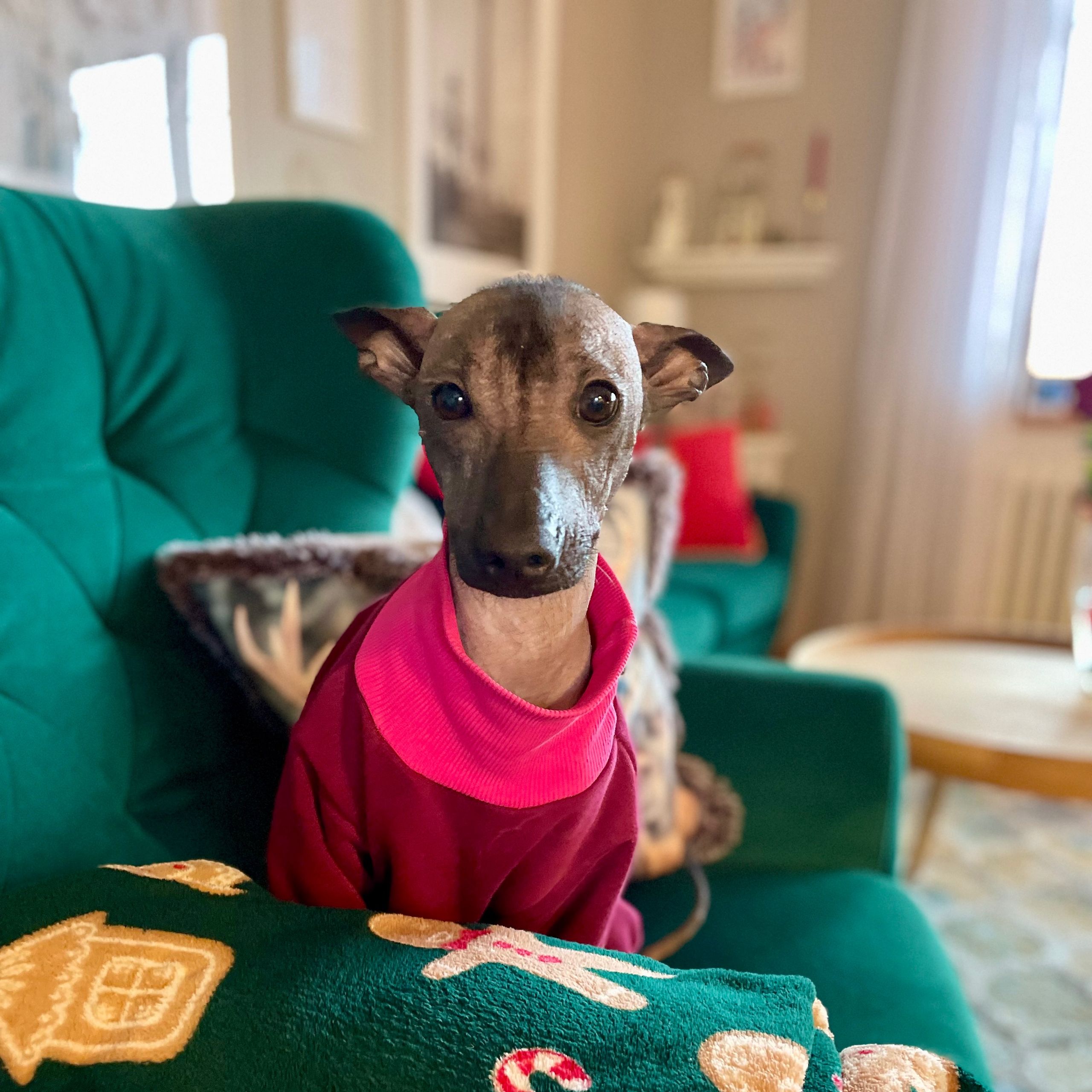 Soutěžní fotografie - Nazca,  Peruánský naháč