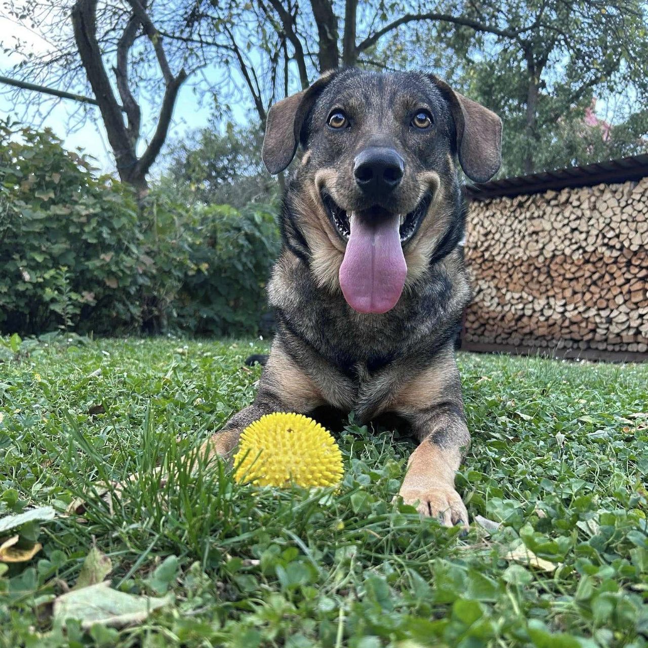 Soutěžní fotografie - Aramis,  Ostatní