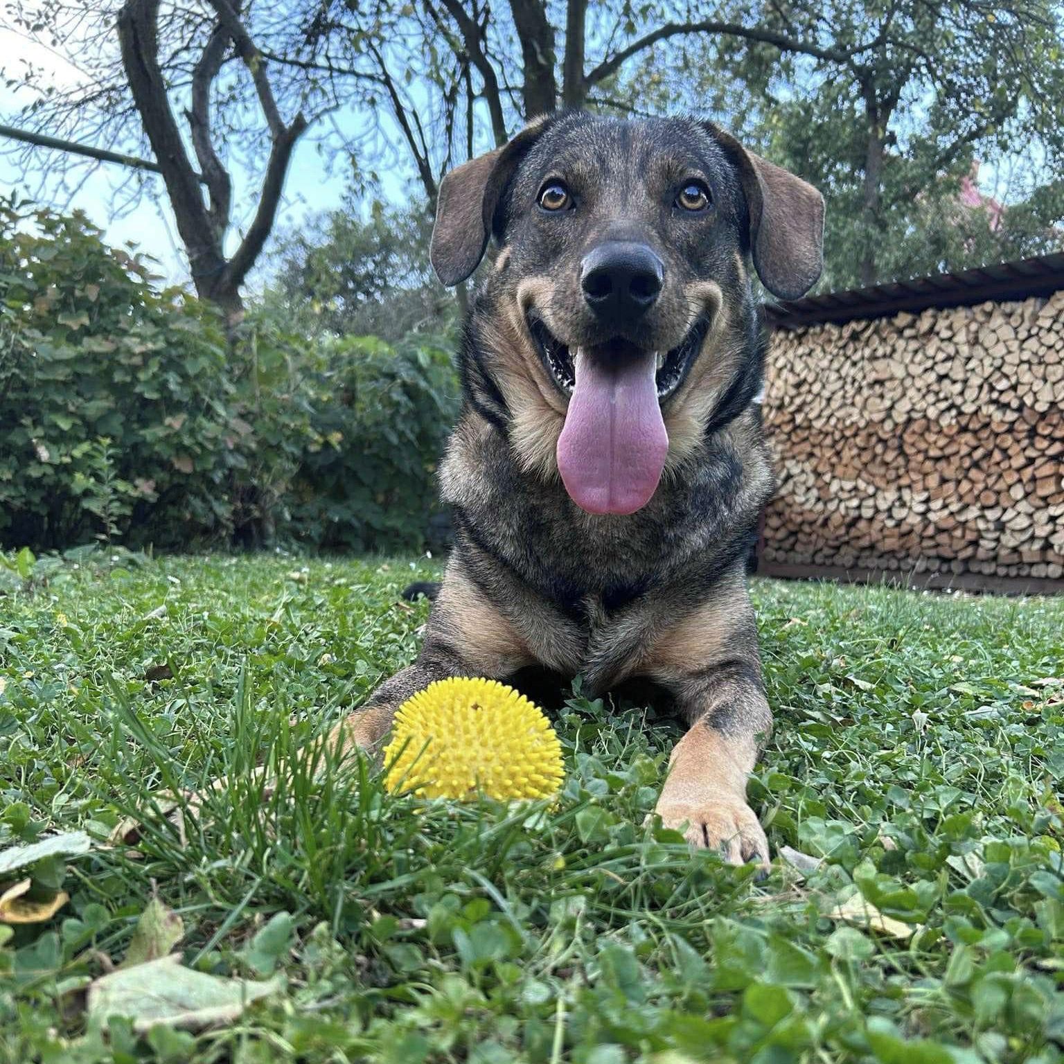 Soutěžní fotografie - Aramis,  Ostatní