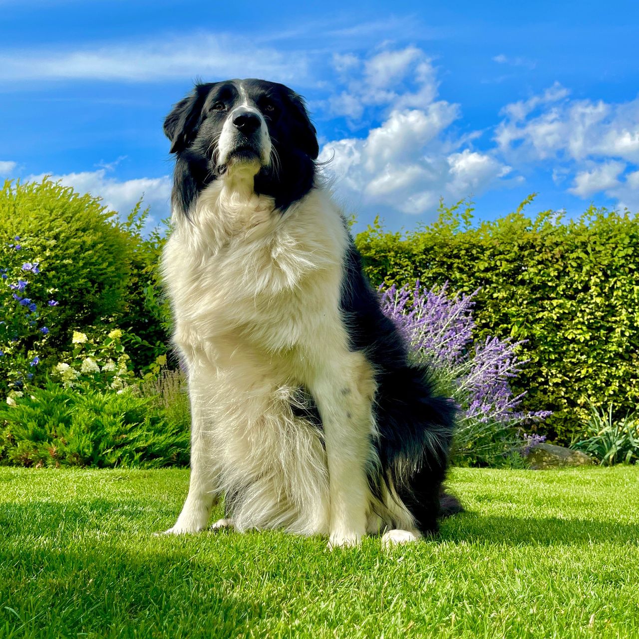 Soutěžní fotografie - Ginny,  Ostatní