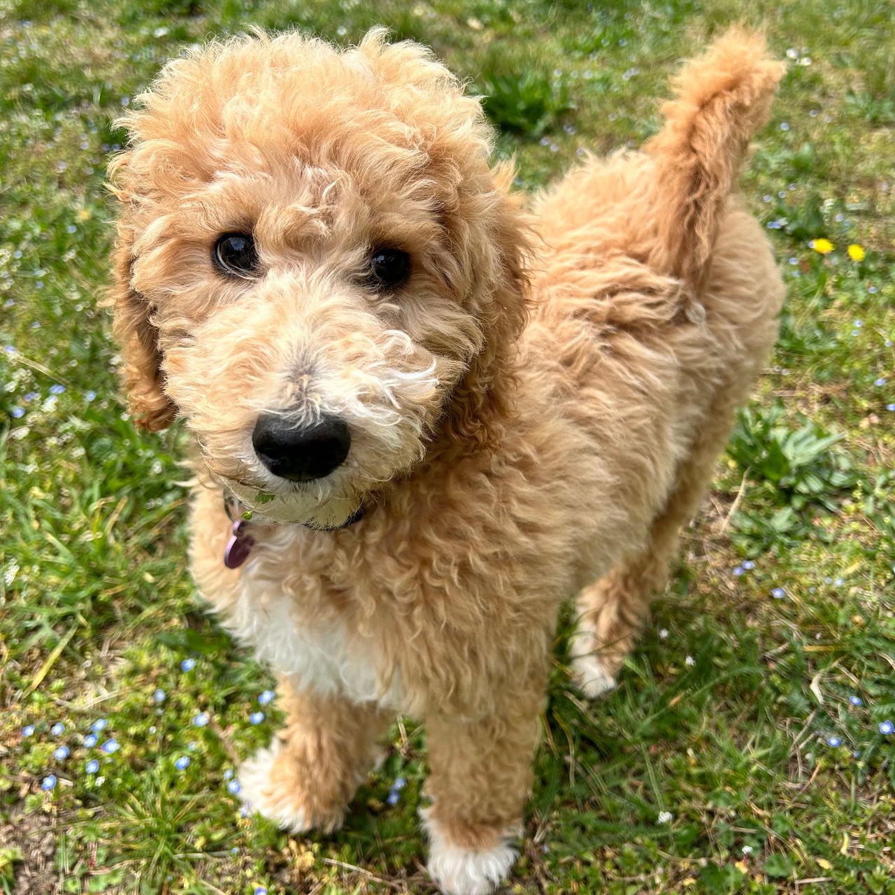 Soutěžní fotografie - Ari,  Ostatní