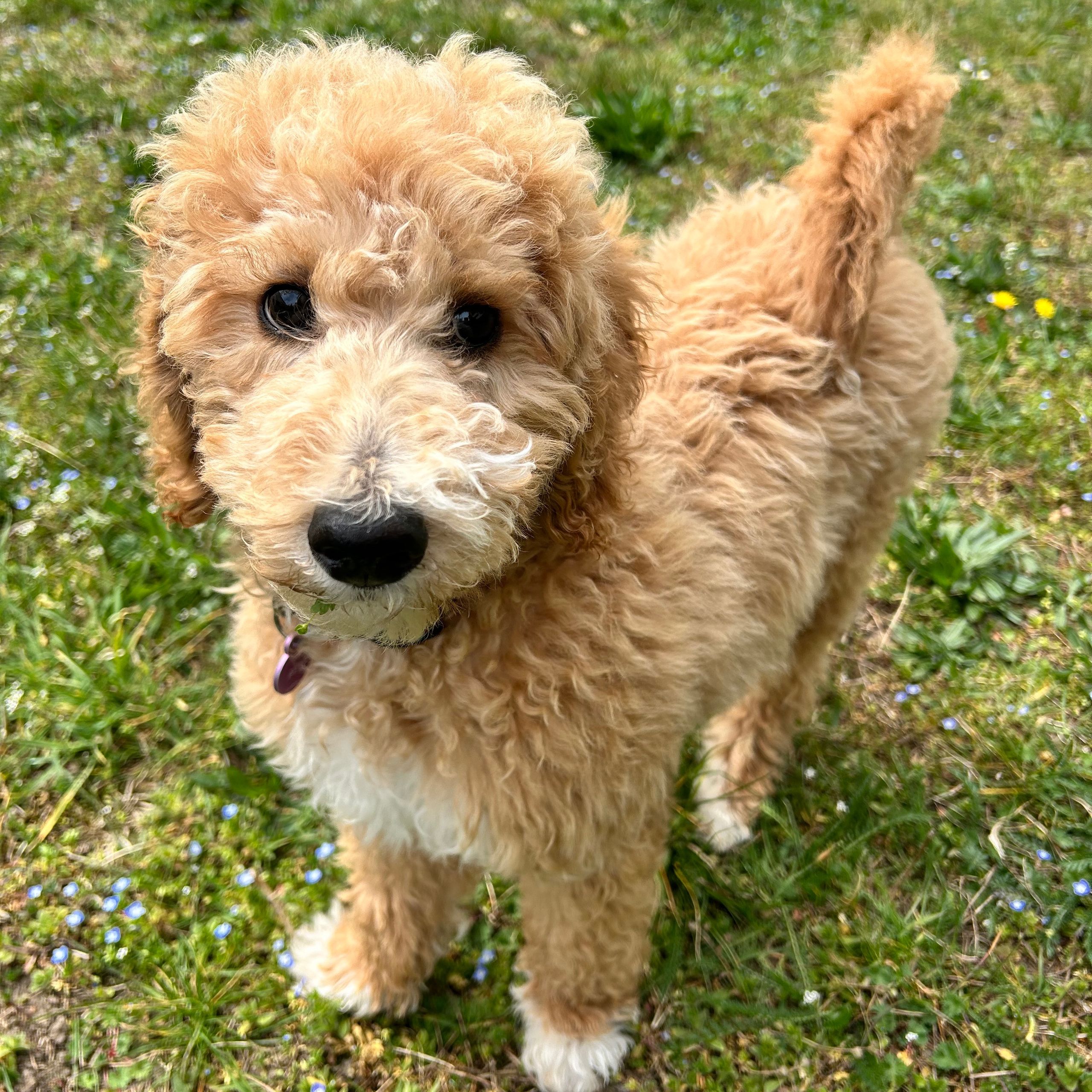 Soutěžní fotografie - Ari,  Ostatní