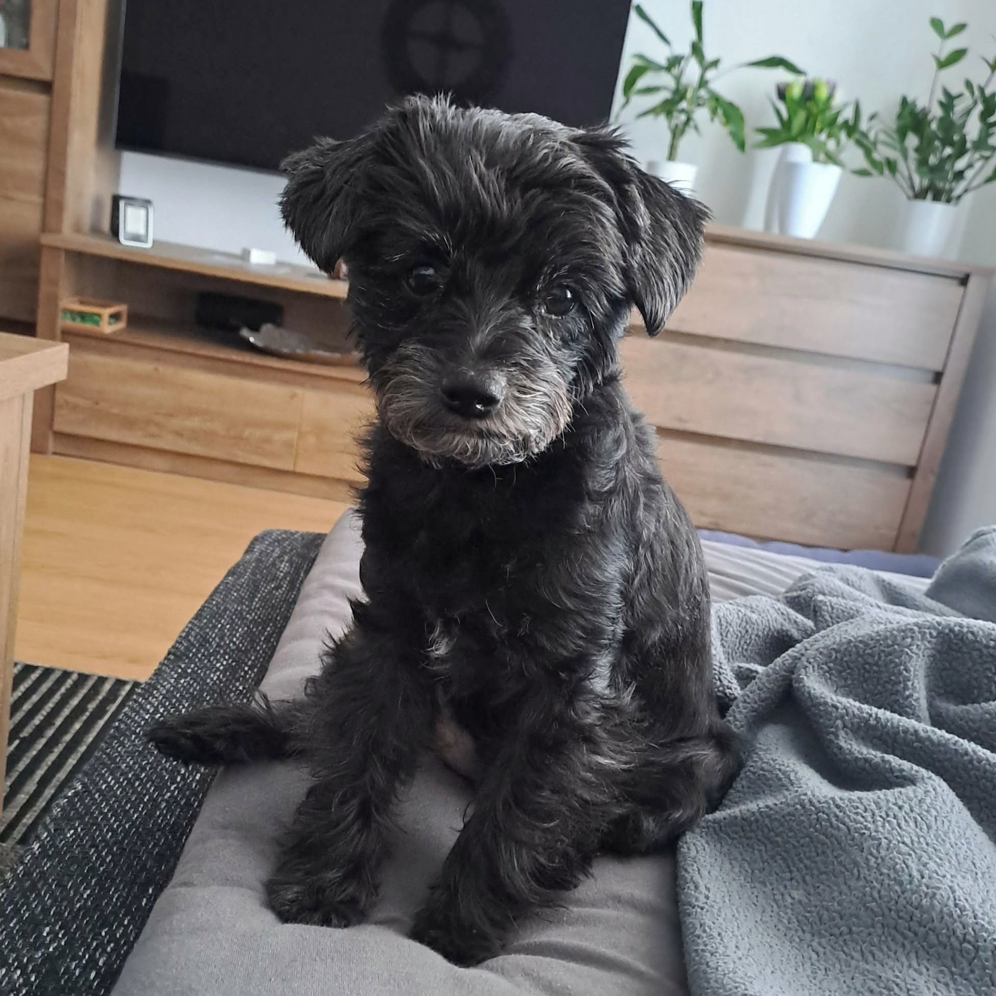 Soutěžní fotografie - MIA,  Ostatní