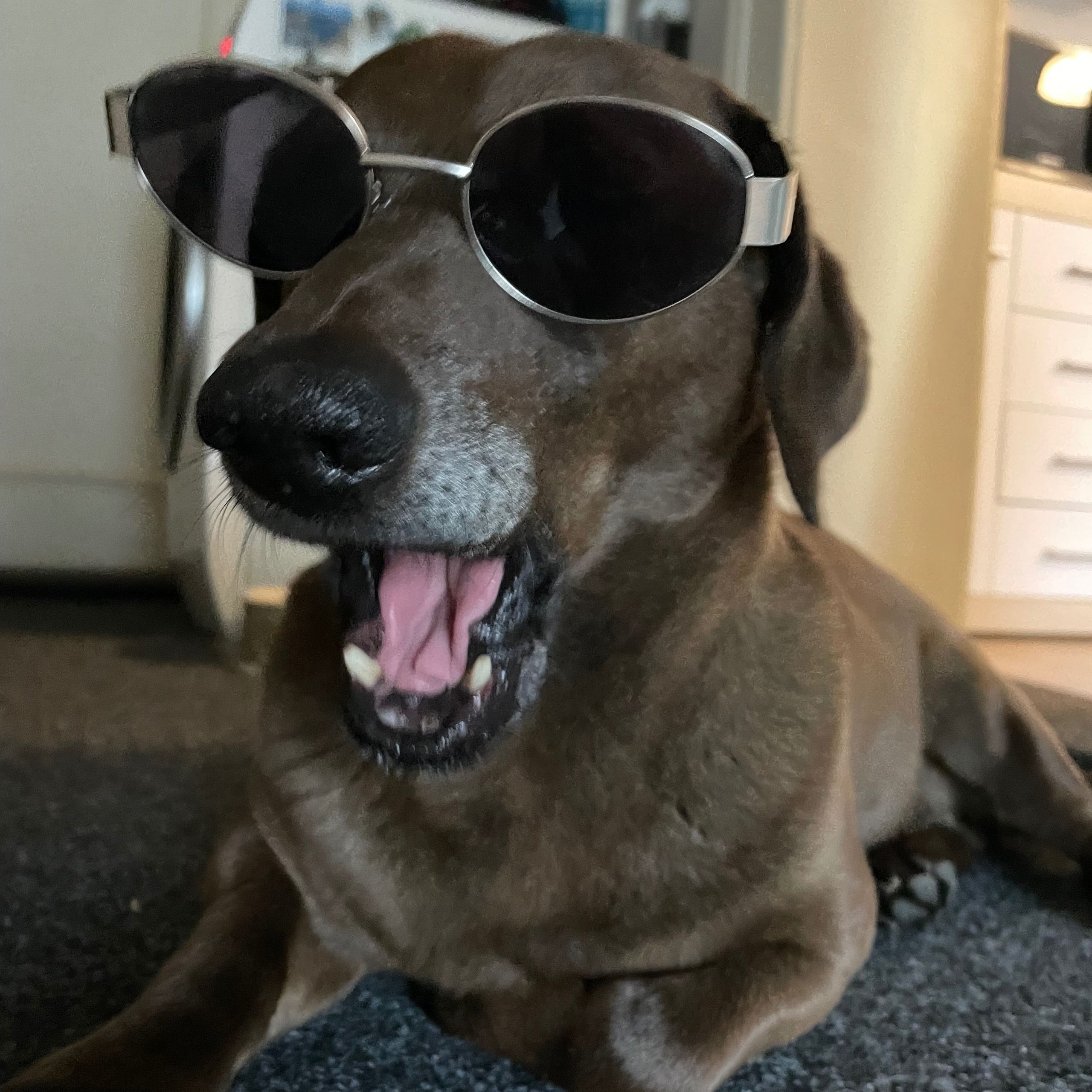 Soutěžní fotografie - Miky,  Ostatní