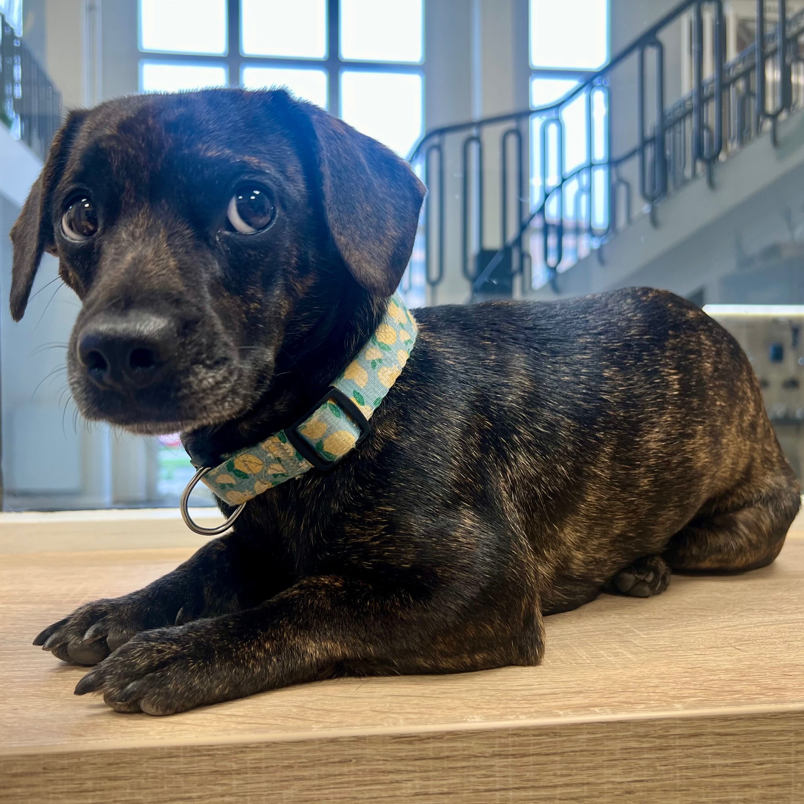 Soutěžní fotografie - Boneie,  Ostatní