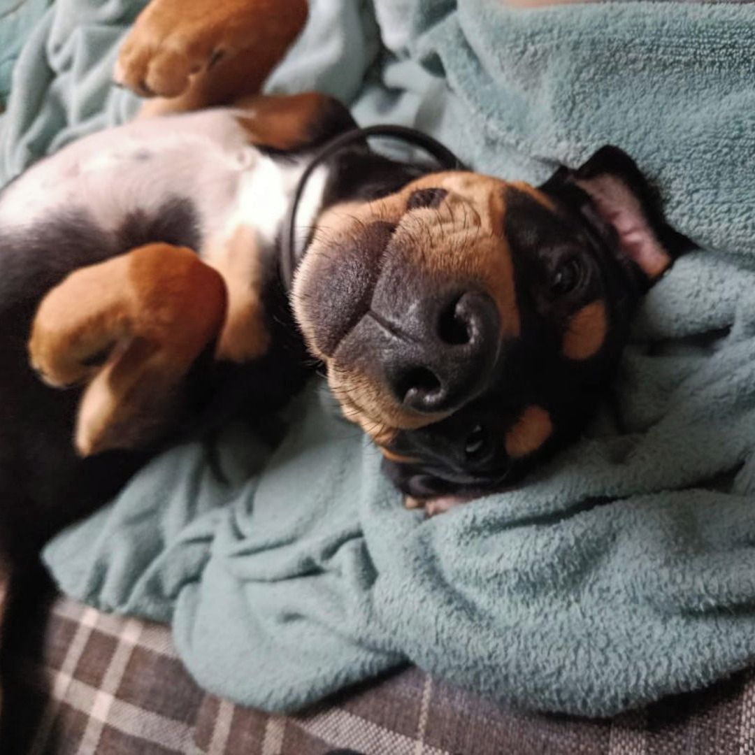 Soutěžní fotografie - Elton,  Ostatní