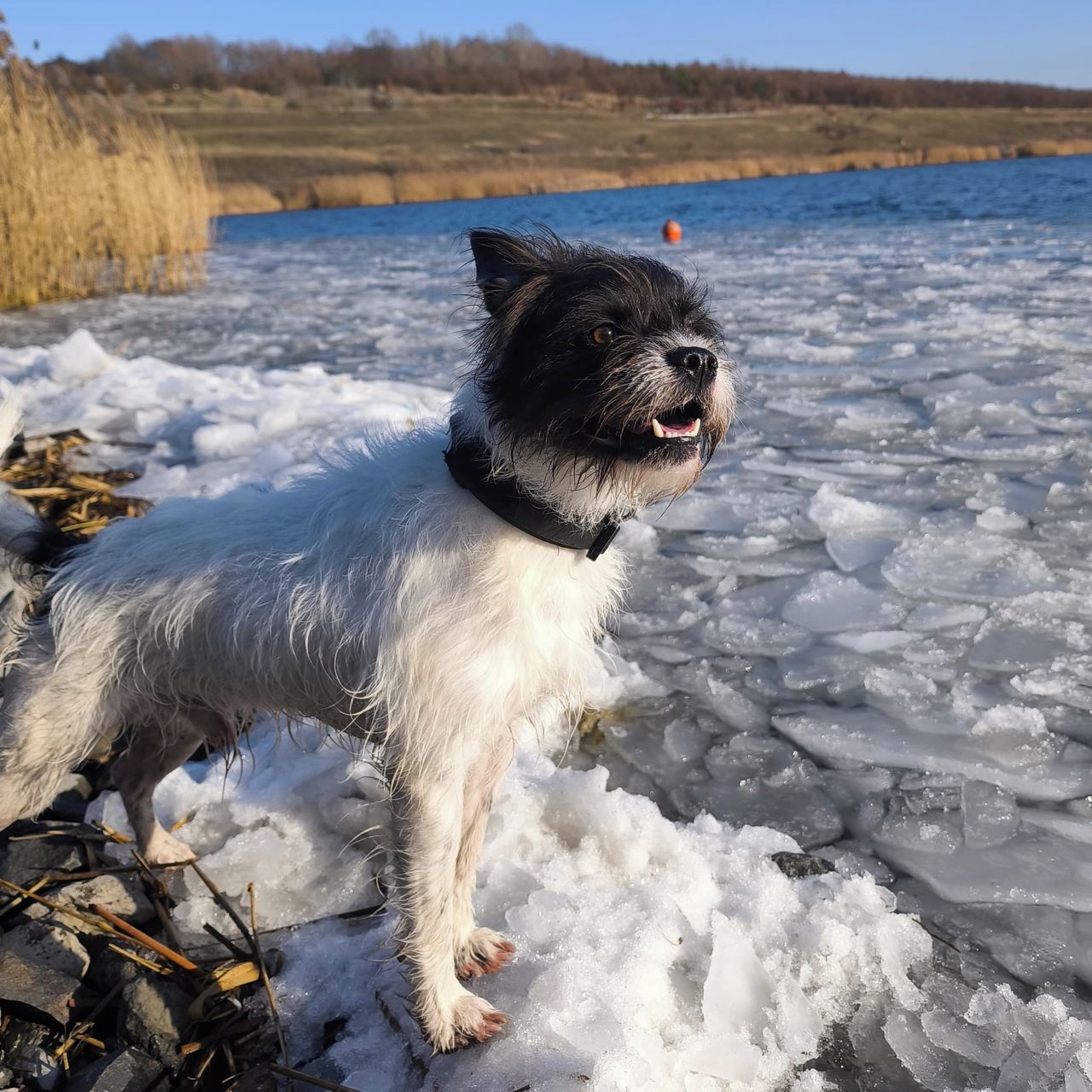 Soutěžní fotografie - Tymián,  Ostatní