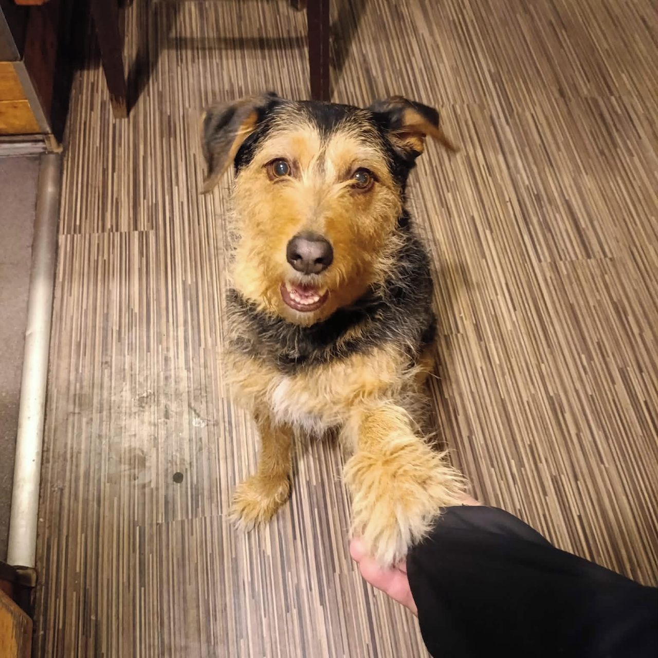 Soutěžní fotografie - Barunka,  Ostatní