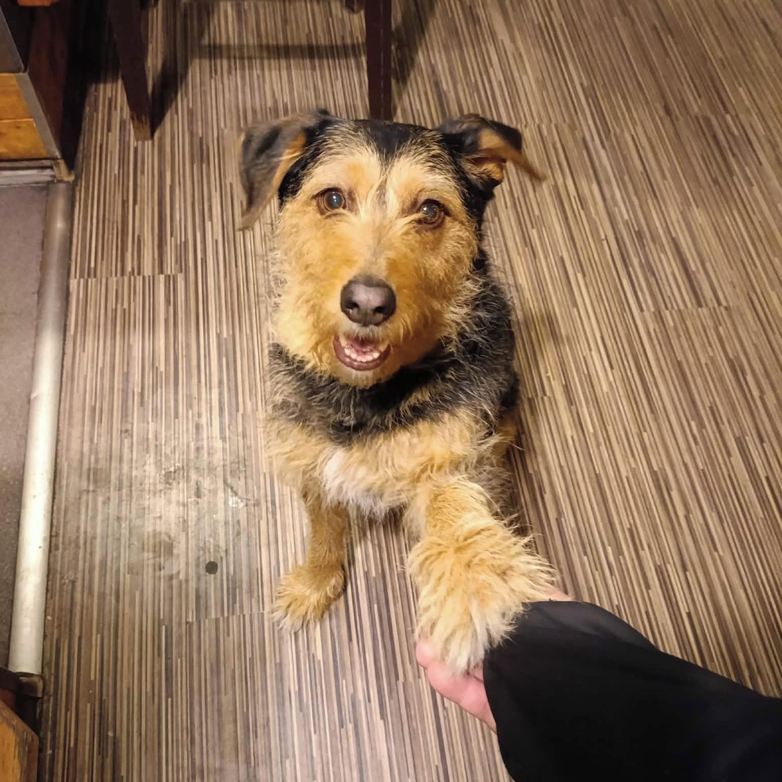 Soutěžní fotografie - Barunka,  Ostatní