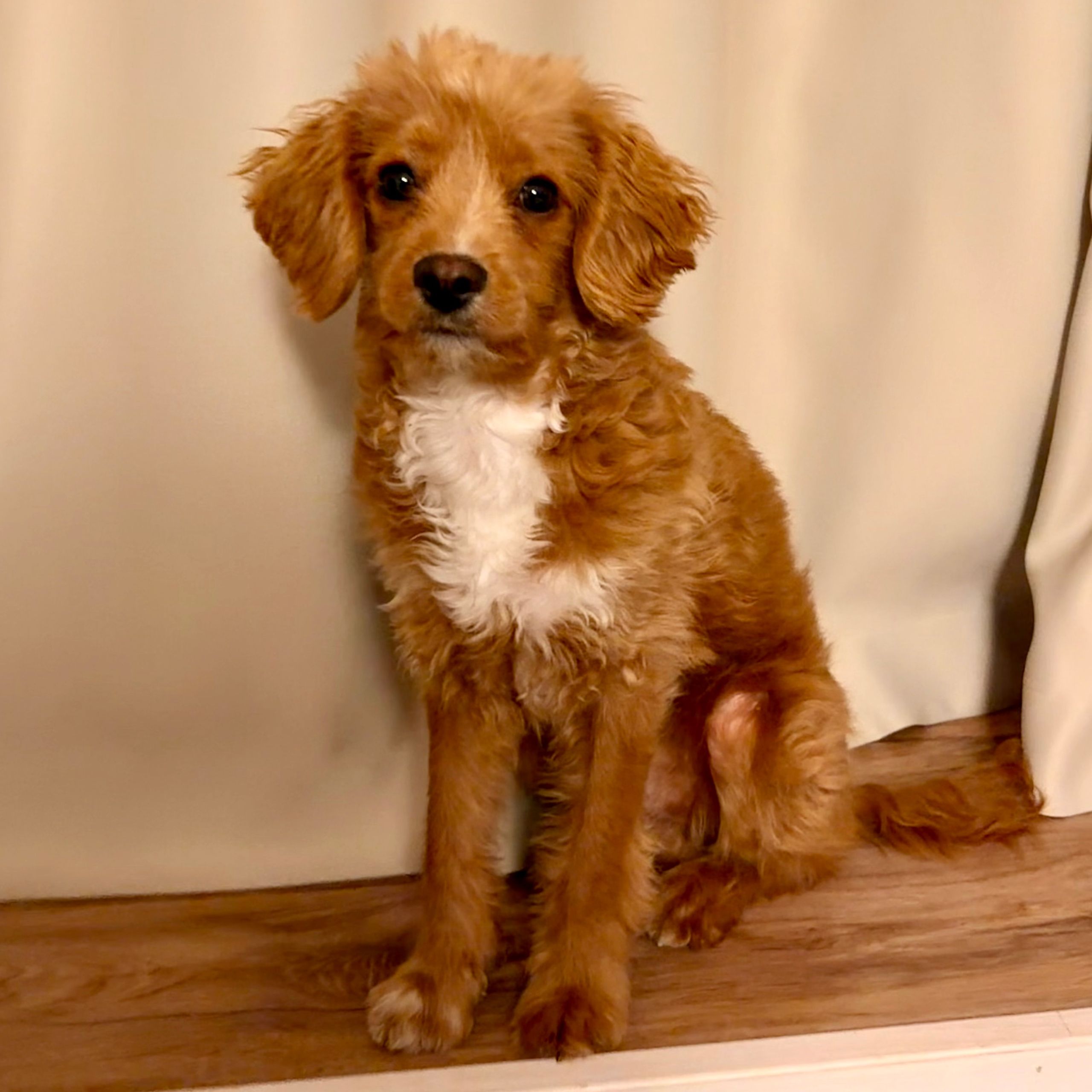 Soutěžní fotografie - Vojta,  Ostatní