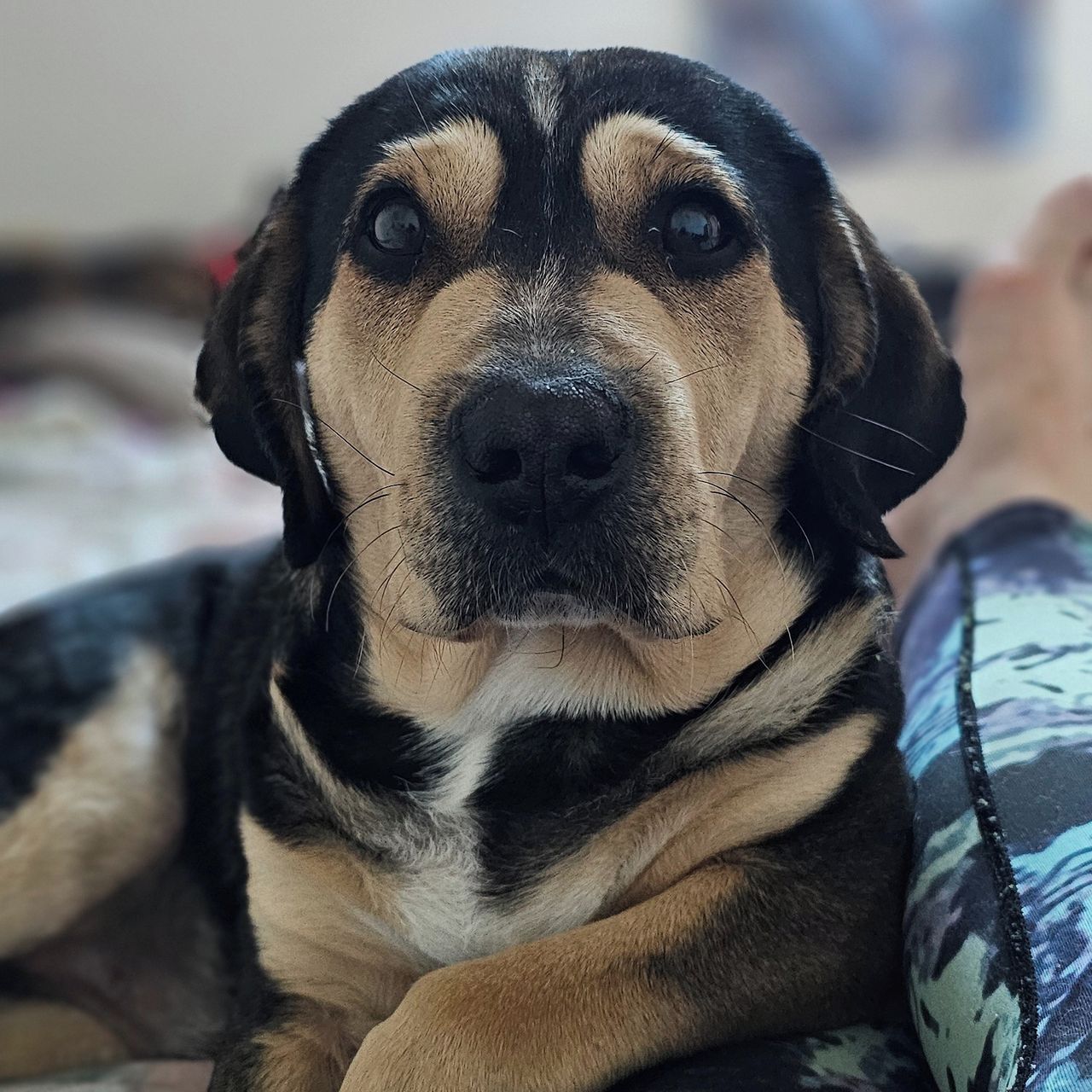 Soutěžní fotografie - Feath,  Ostatní