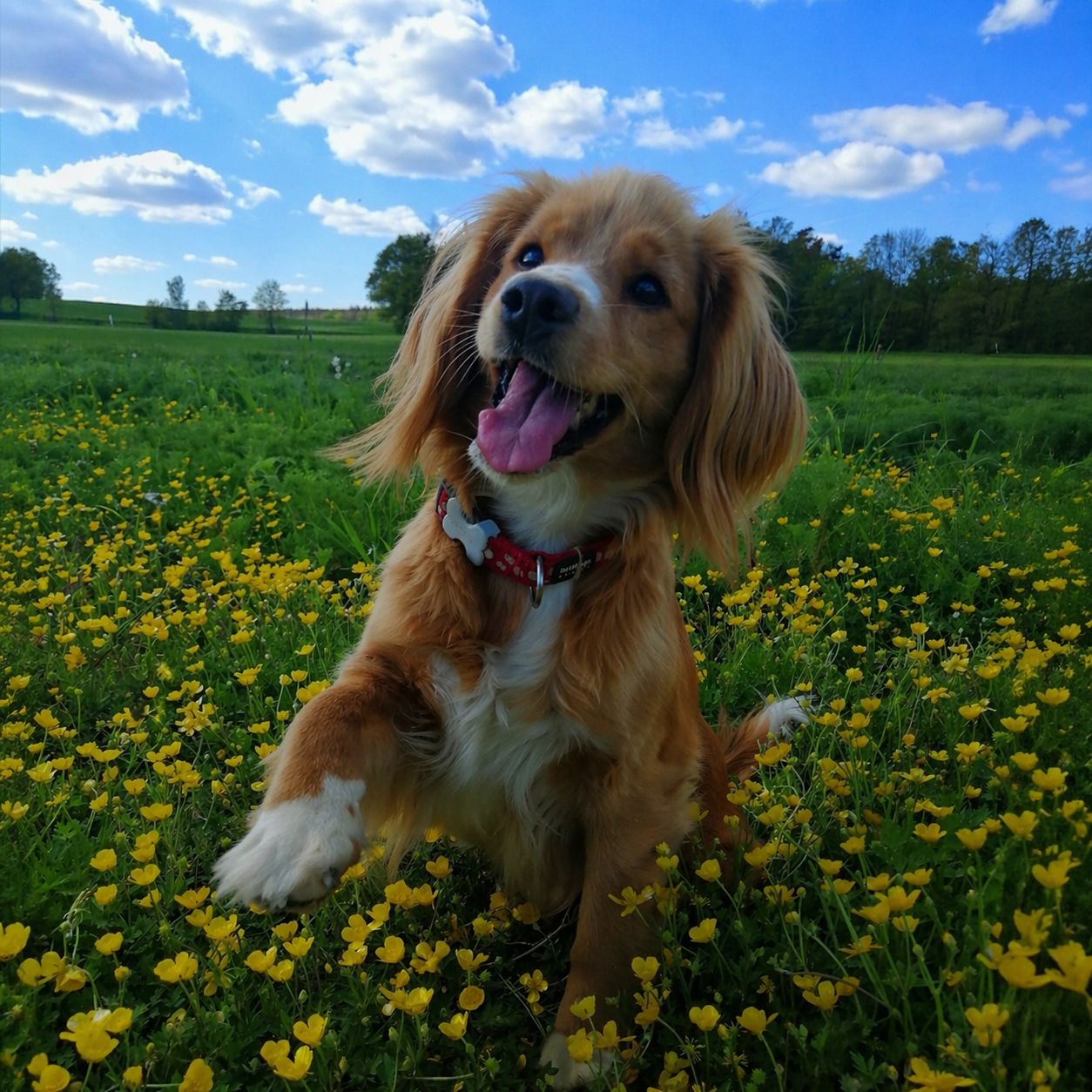 Soutěžní fotografie - Lenny,  Ostatní