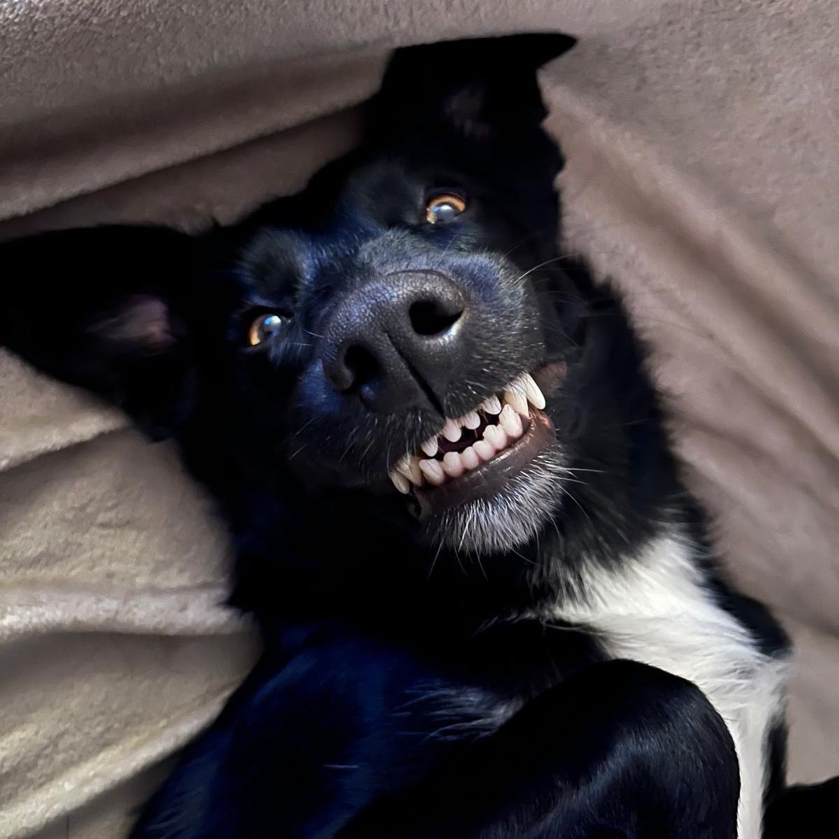 Soutěžní fotografie - Atra,  Ostatní