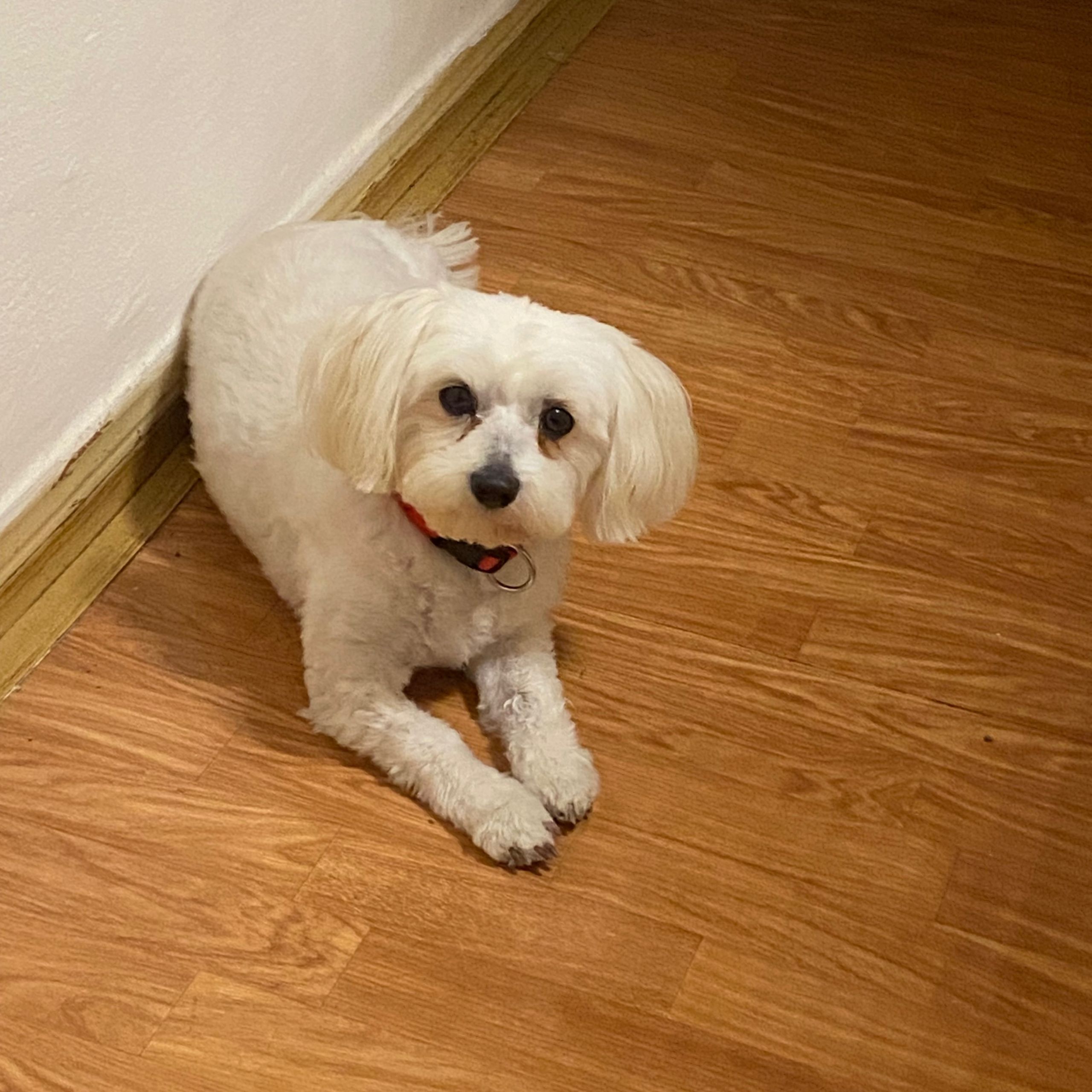 Soutěžní fotografie - Niki,  Ostatní