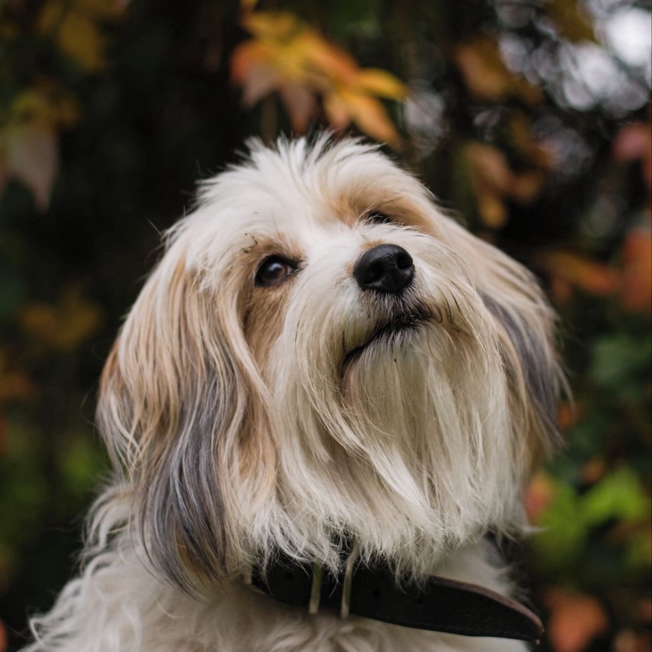 Soutěžní fotografie - JORDAN,  Ostatní