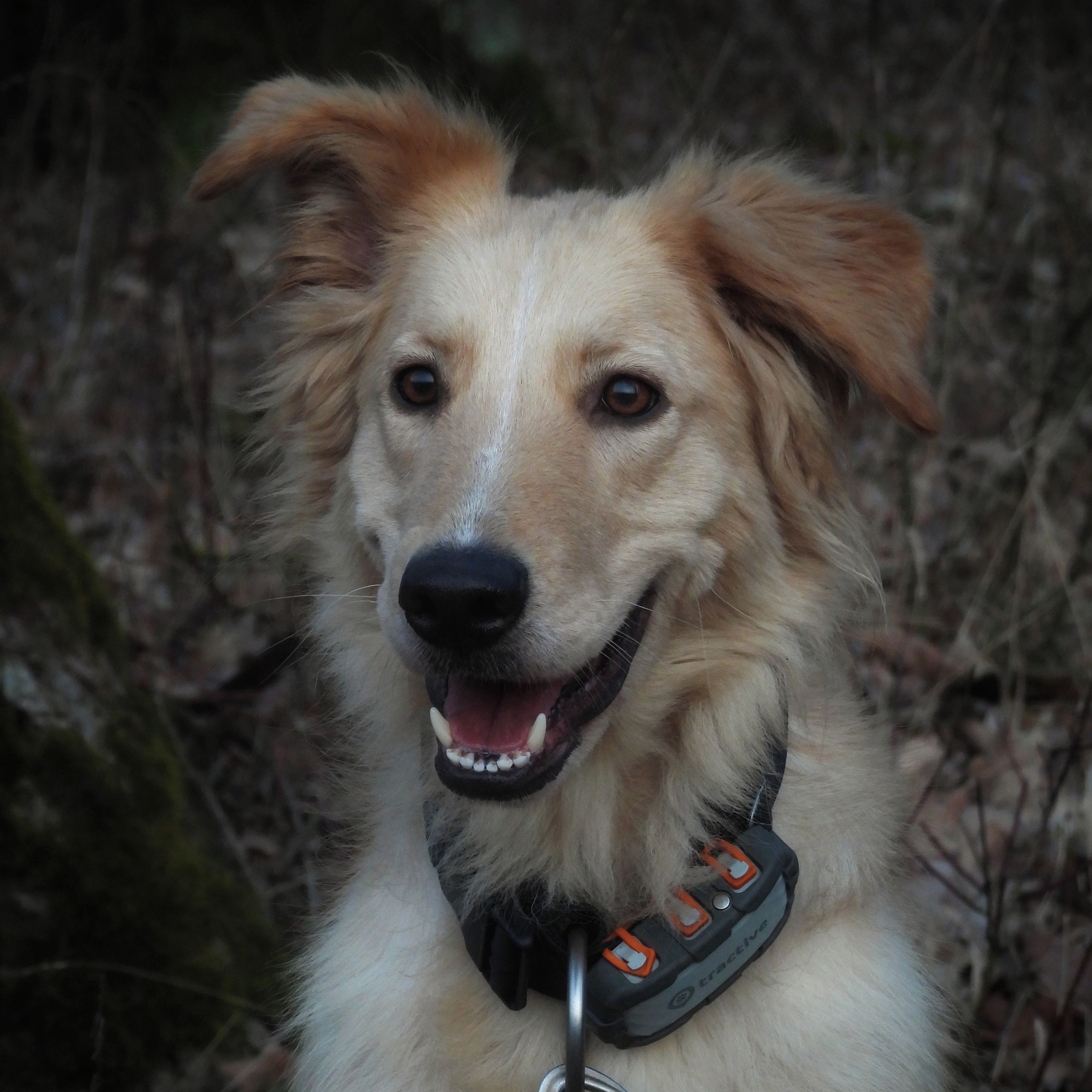 Soutěžní fotografie - Dášenka,  Ostatní