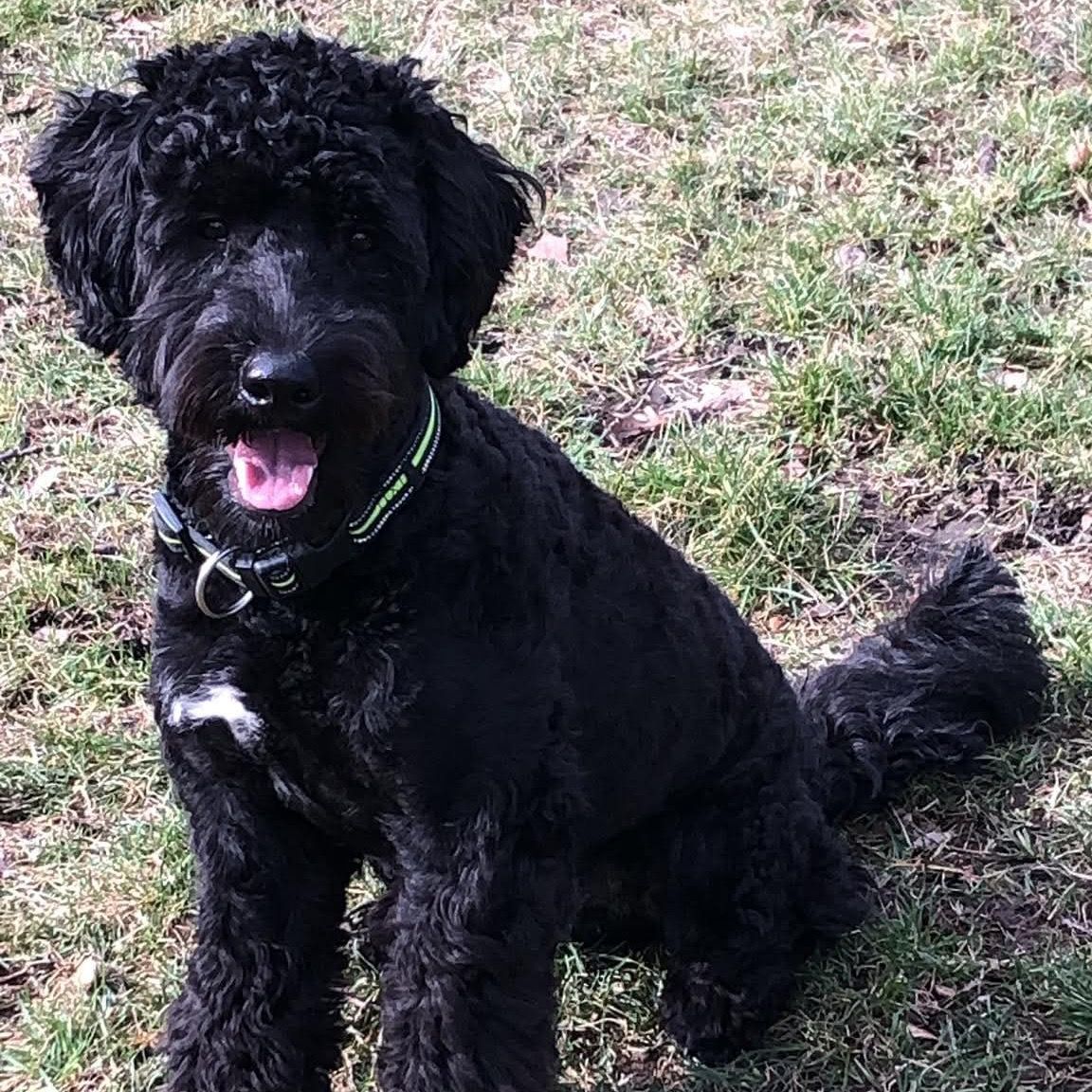 Soutěžní fotografie - Bárny,  Ostatní