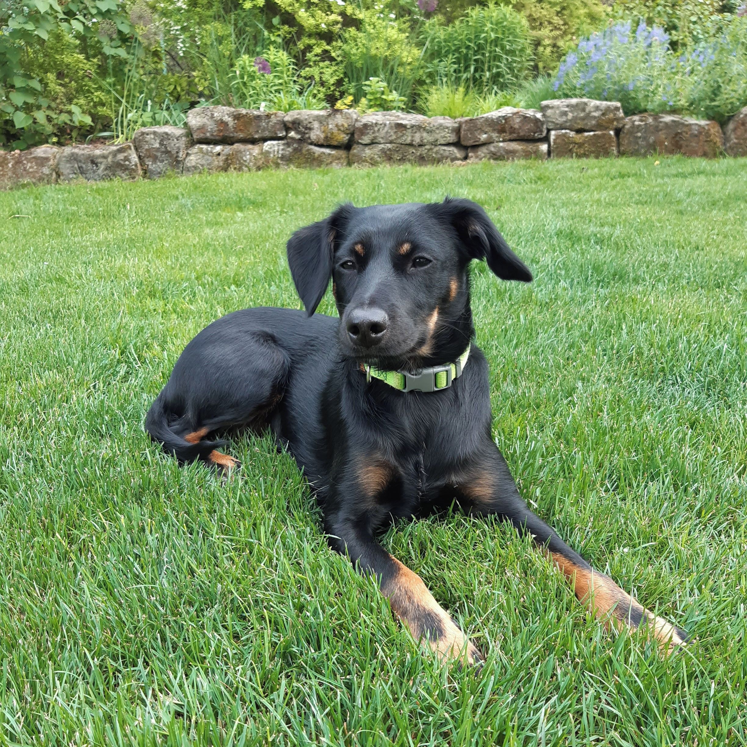 Soutěžní fotografie - Honey,  Ostatní