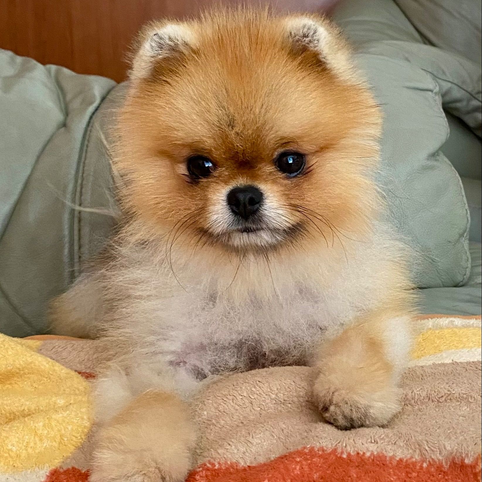 Soutěžní fotografie - Cairo,  Ostatní