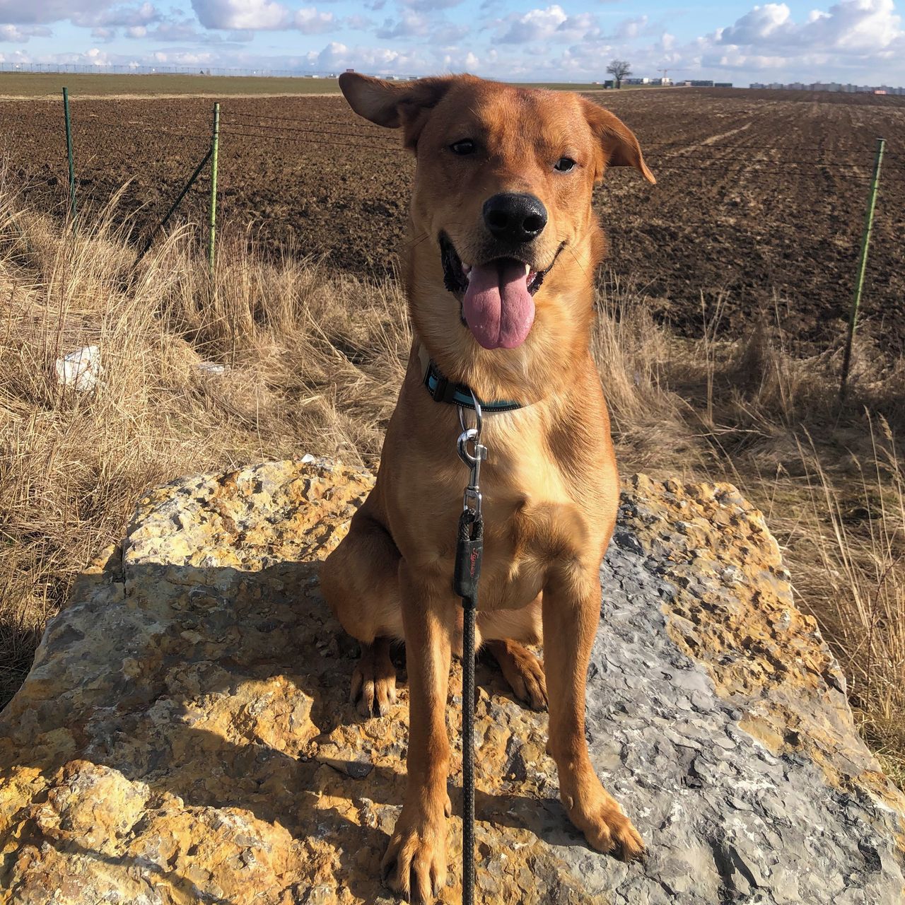 Soutěžní fotografie - Burák,  Ostatní