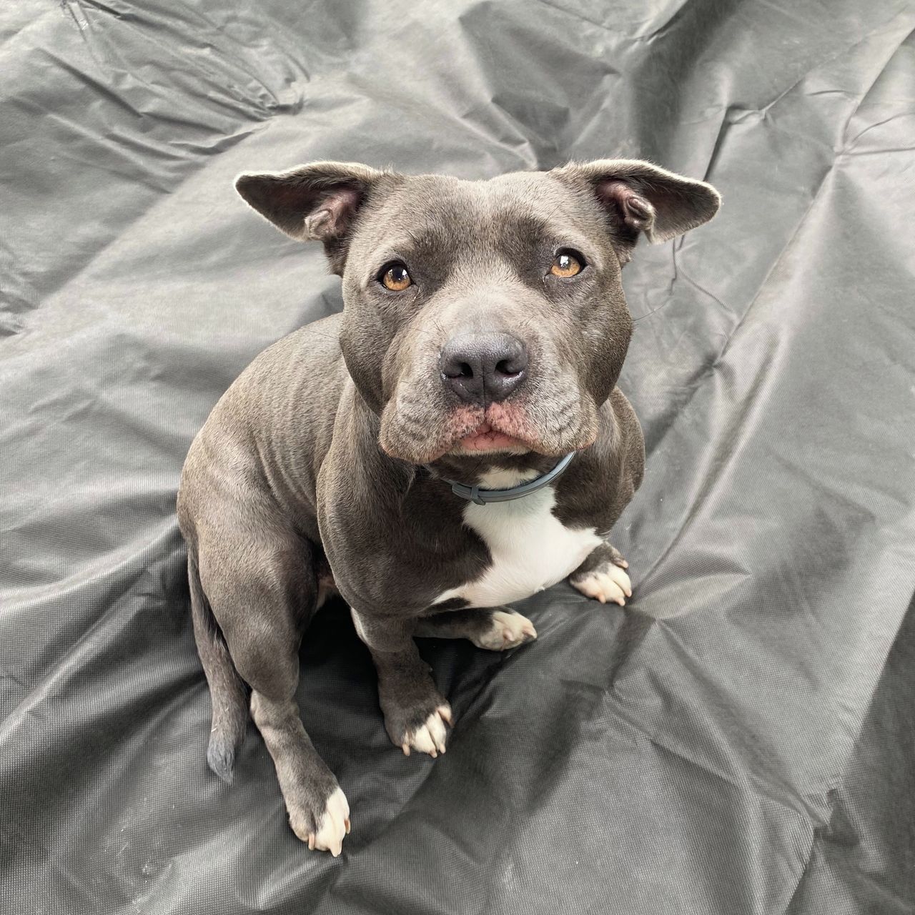 Soutěžní fotografie - Shelly,  Ostatní