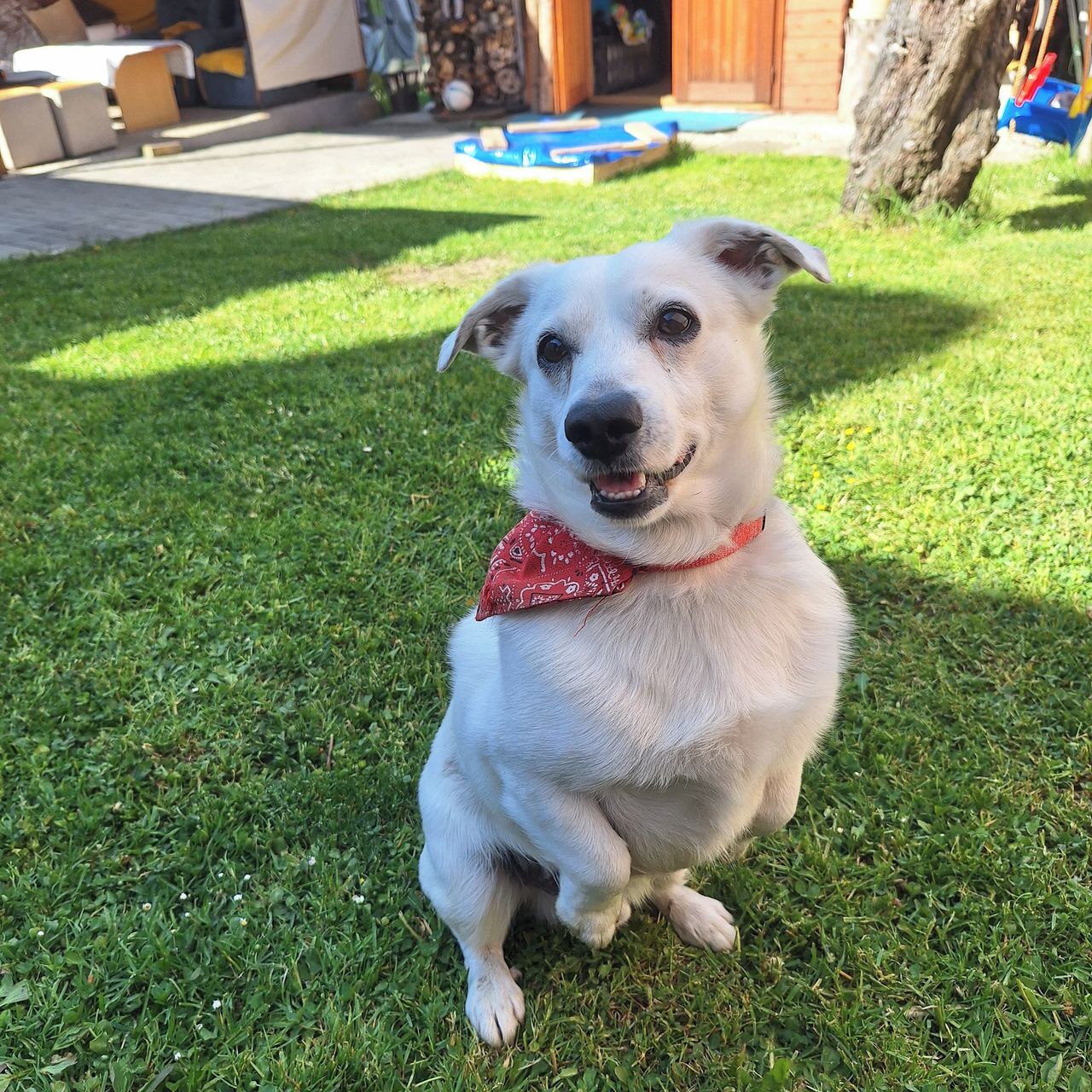 Soutěžní fotografie - Tokyo,  Ostatní