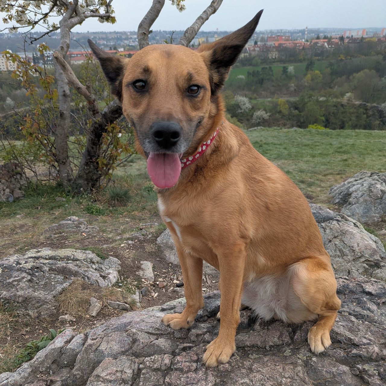 Soutěžní fotografie - Angua,  Ostatní