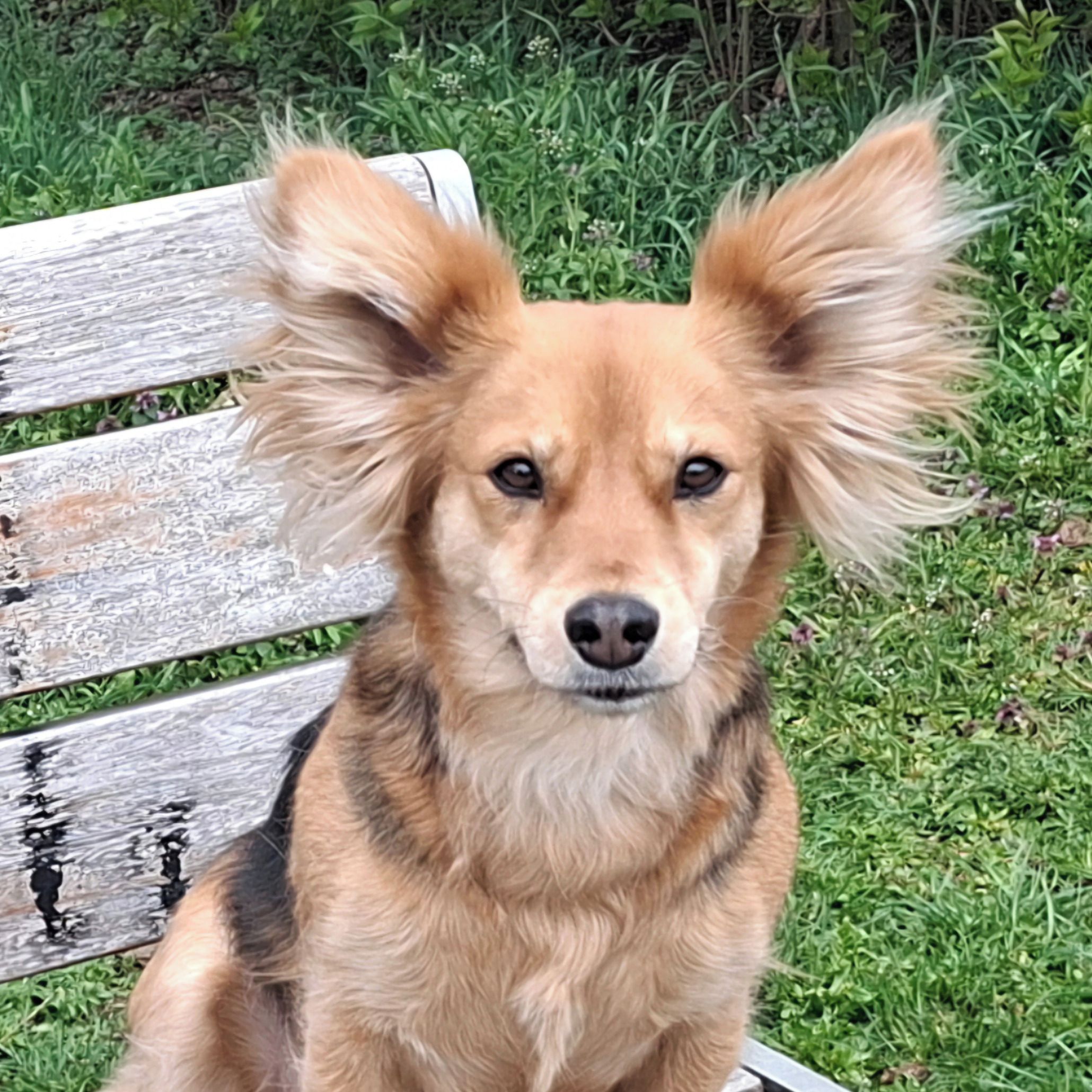 Soutěžní fotografie - Terezka,  Ostatní