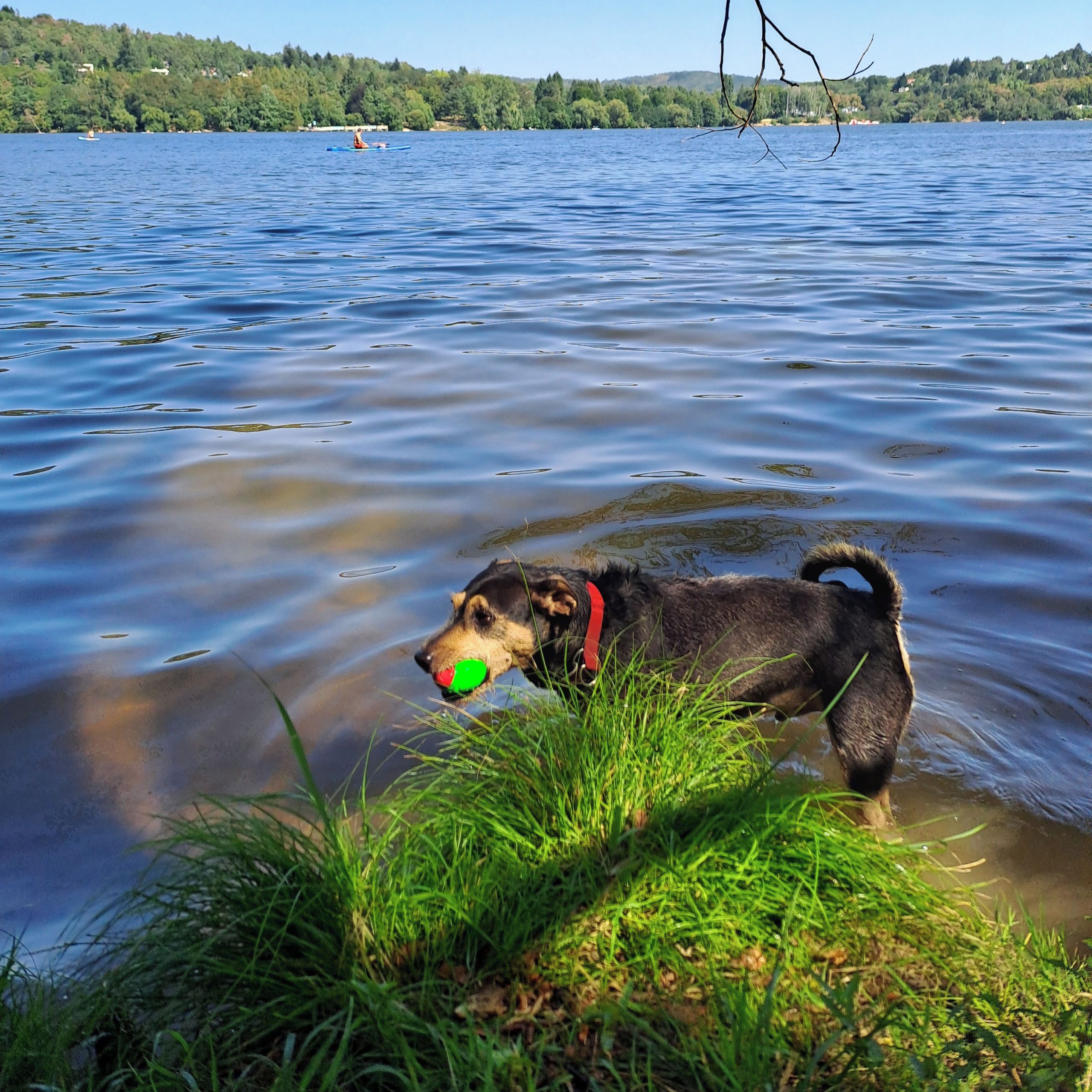 Soutěžní fotografie - Duff,  Ostatní